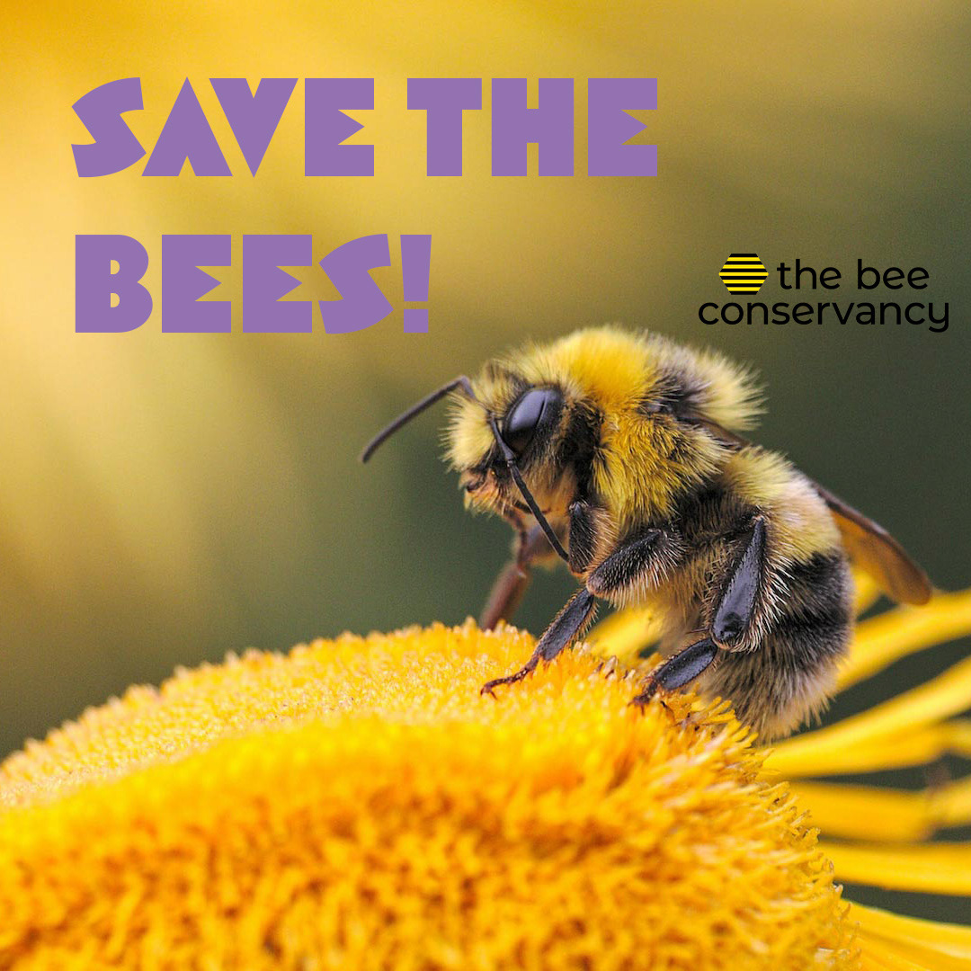 Save the Bees 1