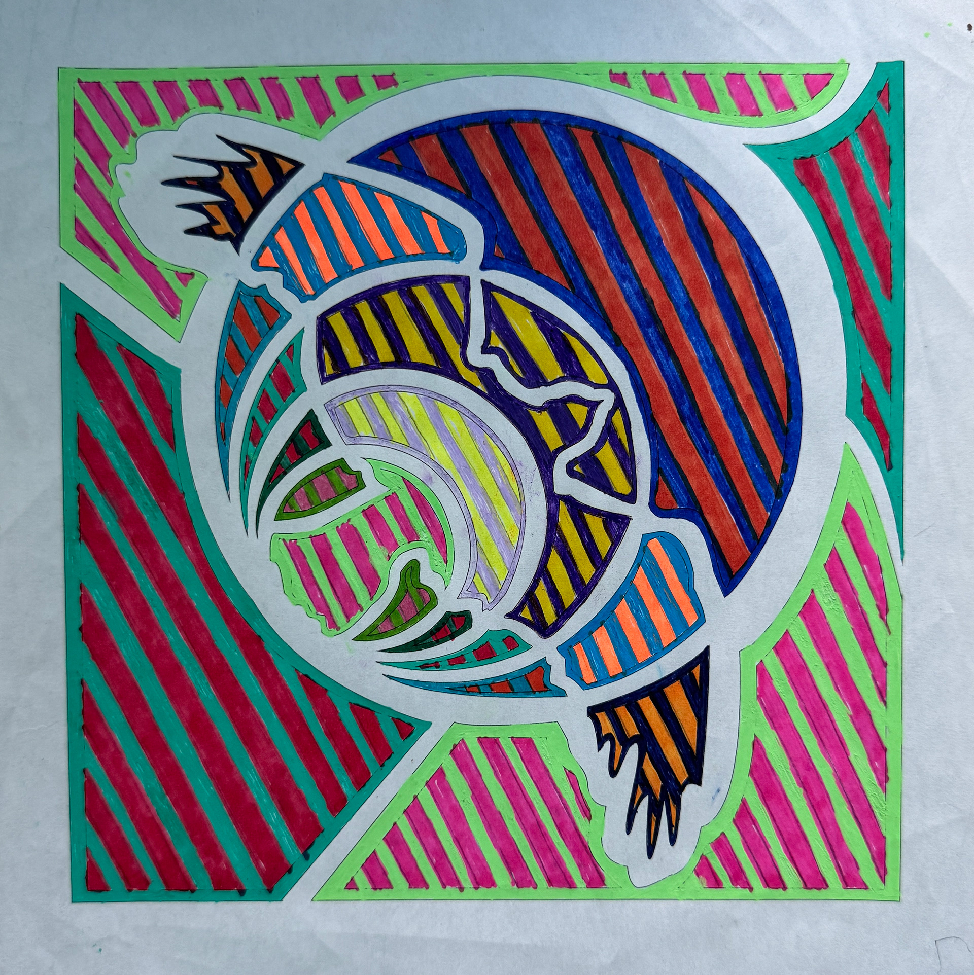 Bird Drawing