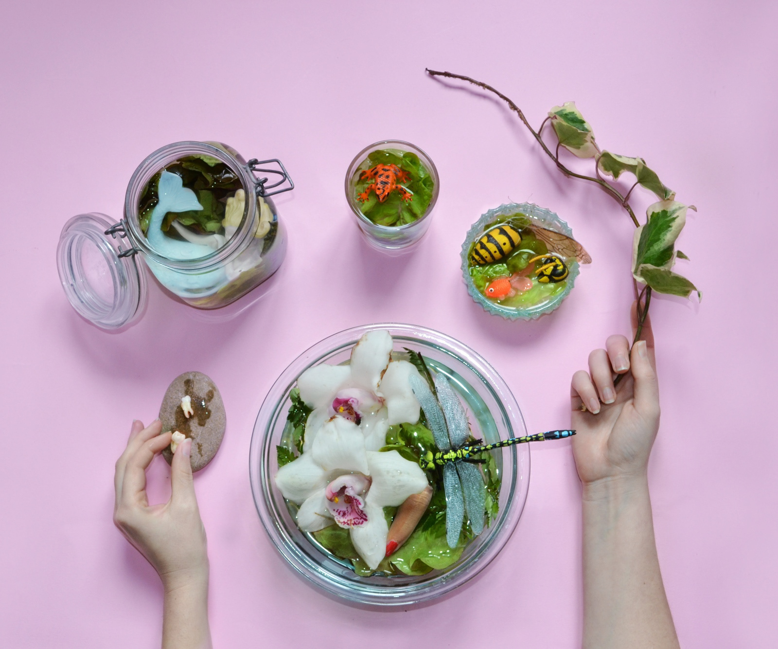 Fresh Food