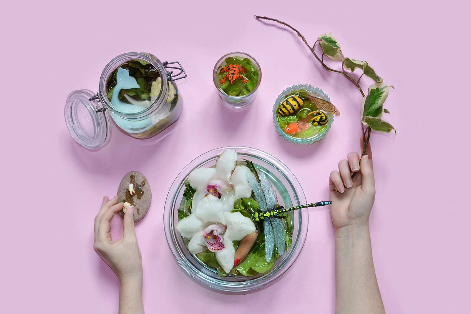 Fresh Food