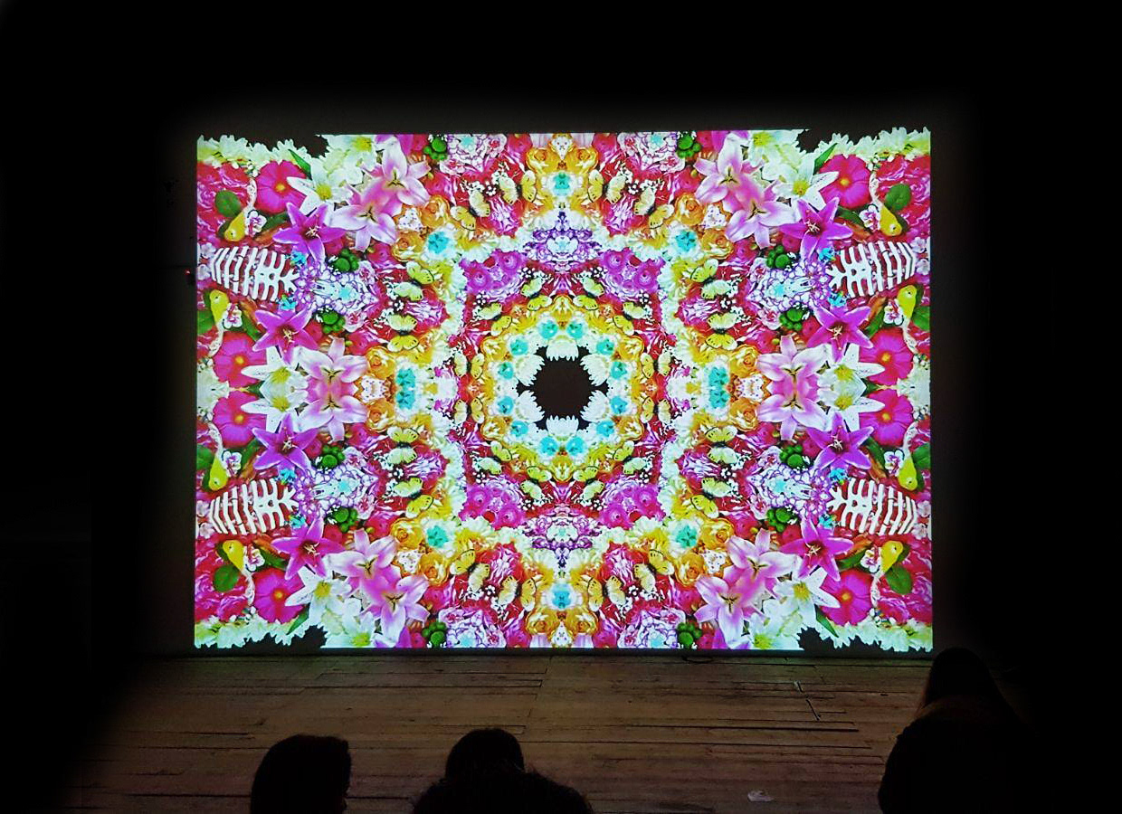 Video Projection