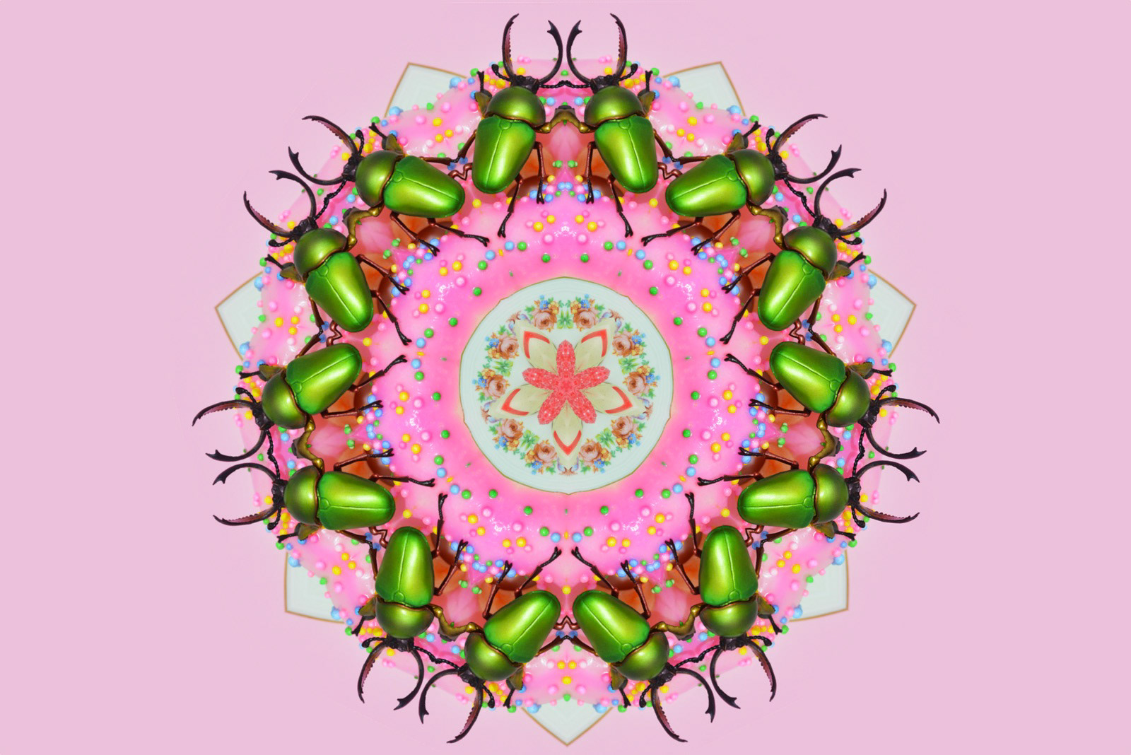 Kaleidobugs