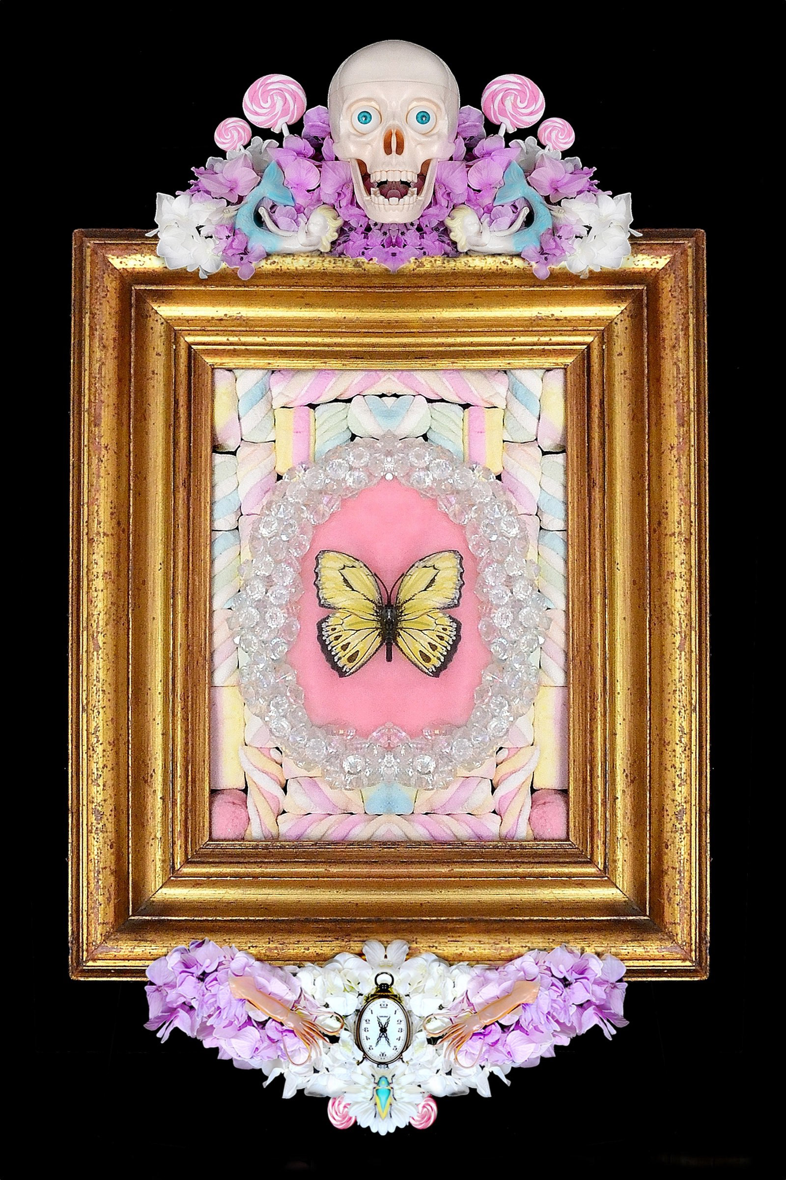 The Butterfly Collector
