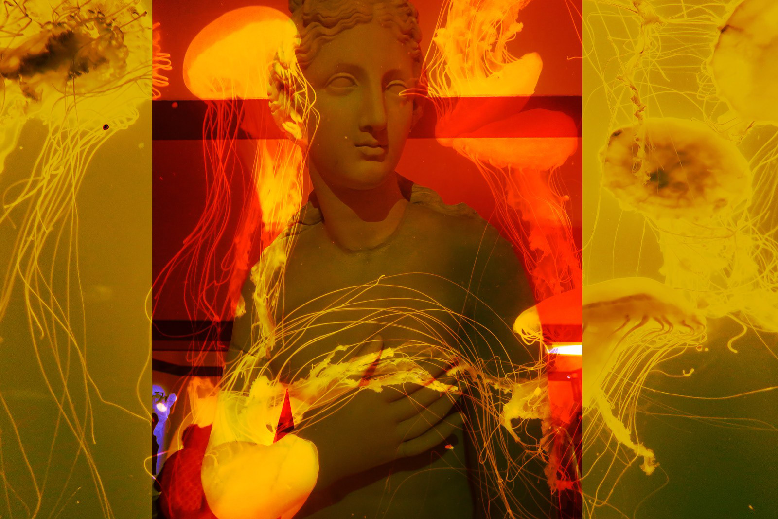 Magma