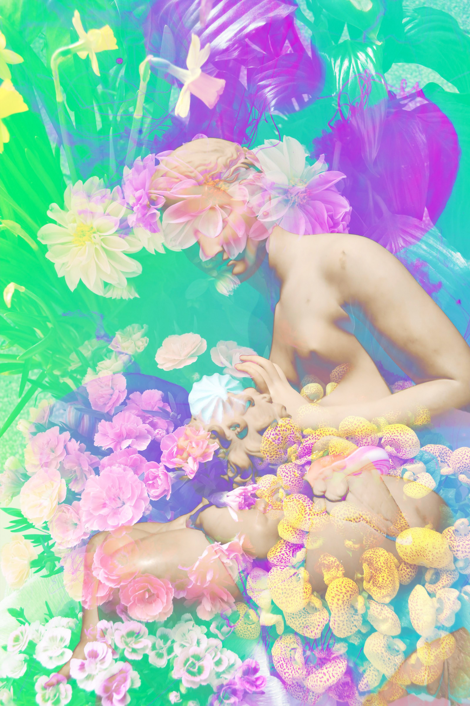 Secret Garden