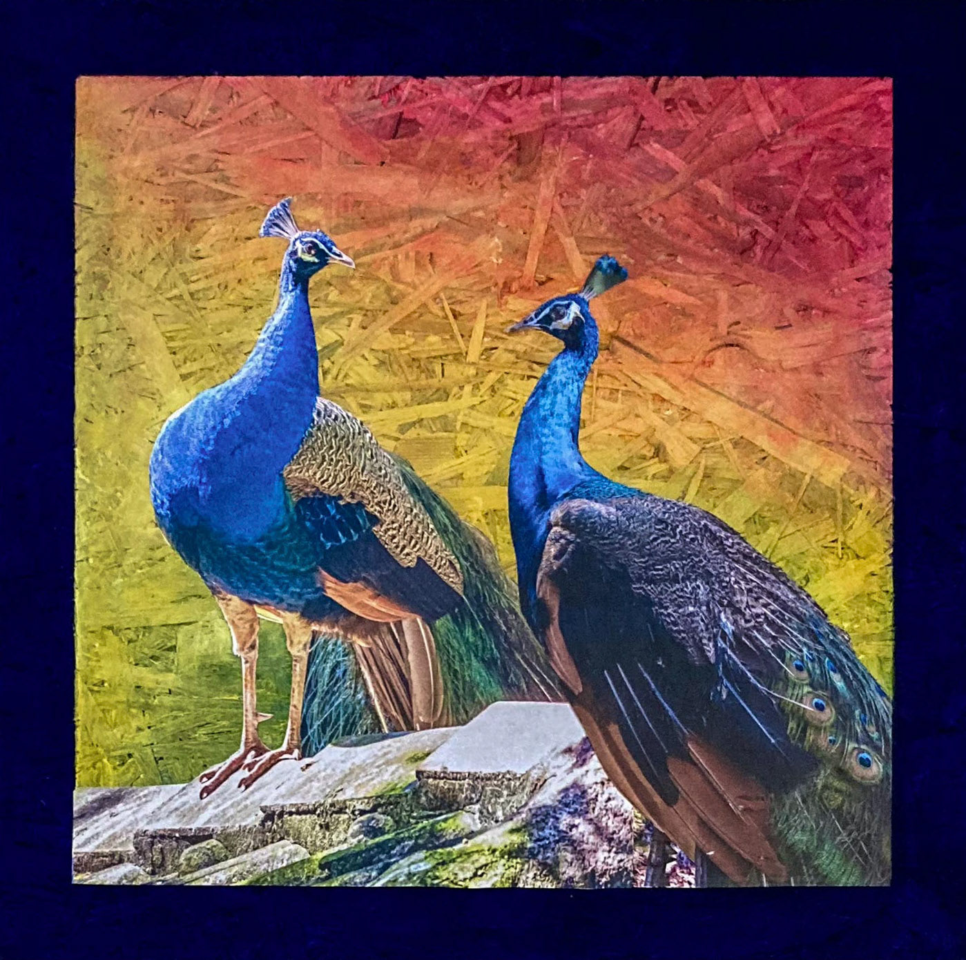 Påfågel 1 akryl/collage 40 x 40 cm