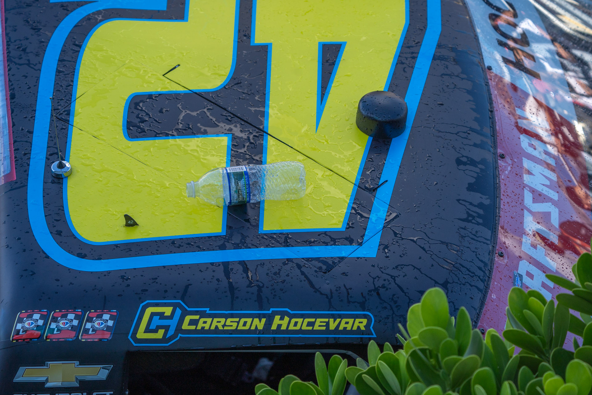 Carson Hocevar Homestead 2023 Victory Lane