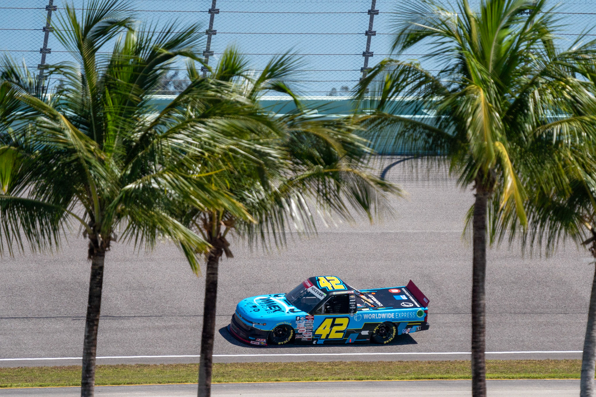 Carson Hocevar Palms