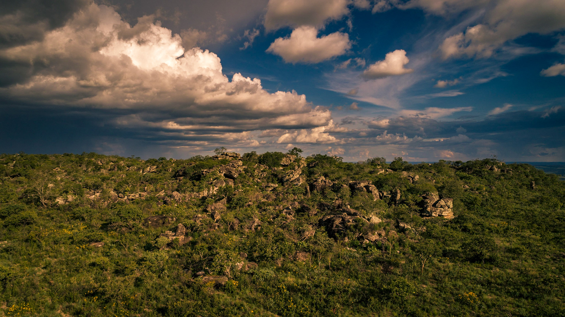 COD:0012_2018 - Pq.Est.Pireneus - Pirenópolis-GO