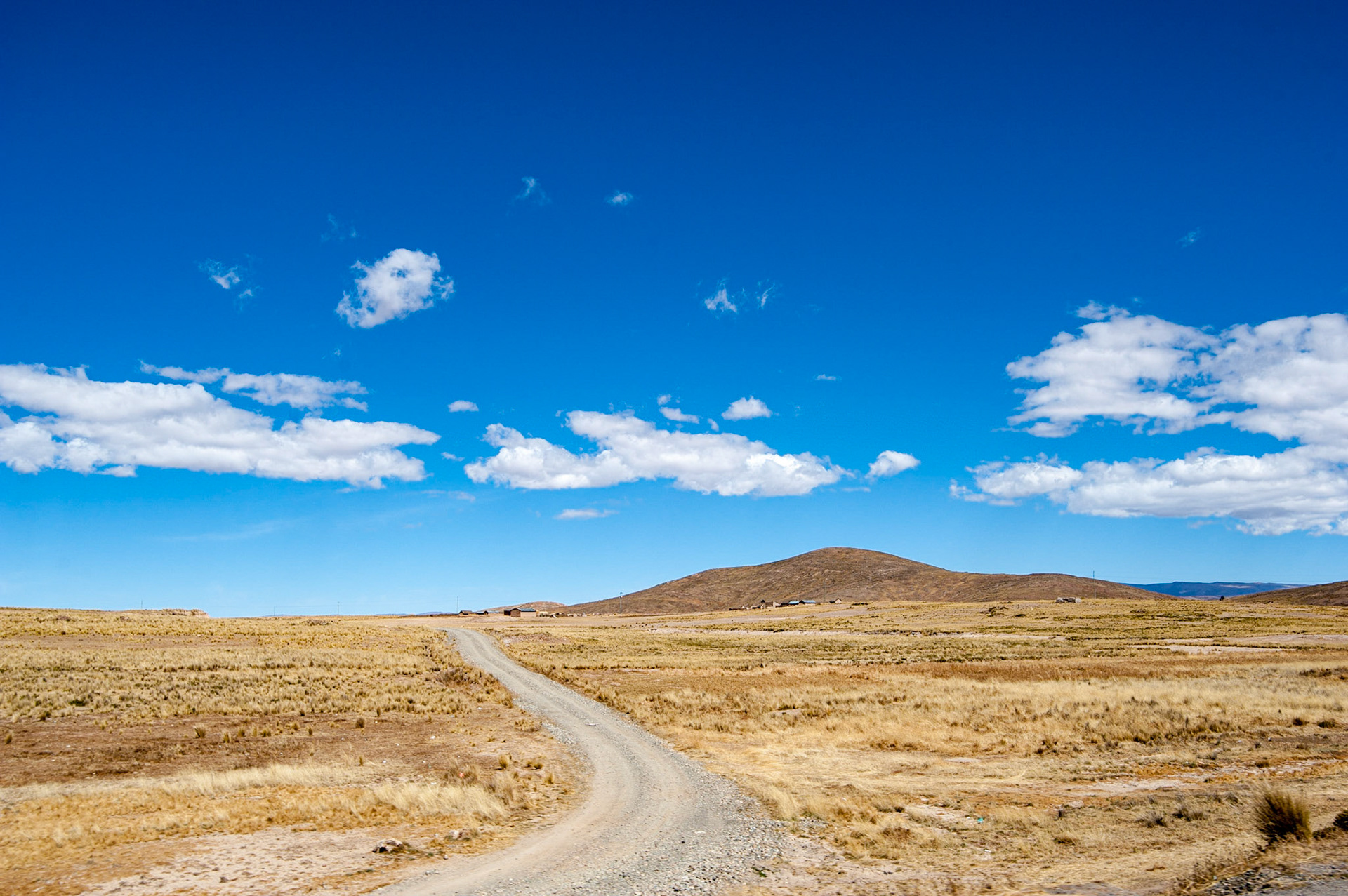 COD:0697_2012 - Altiplano - Bolivia