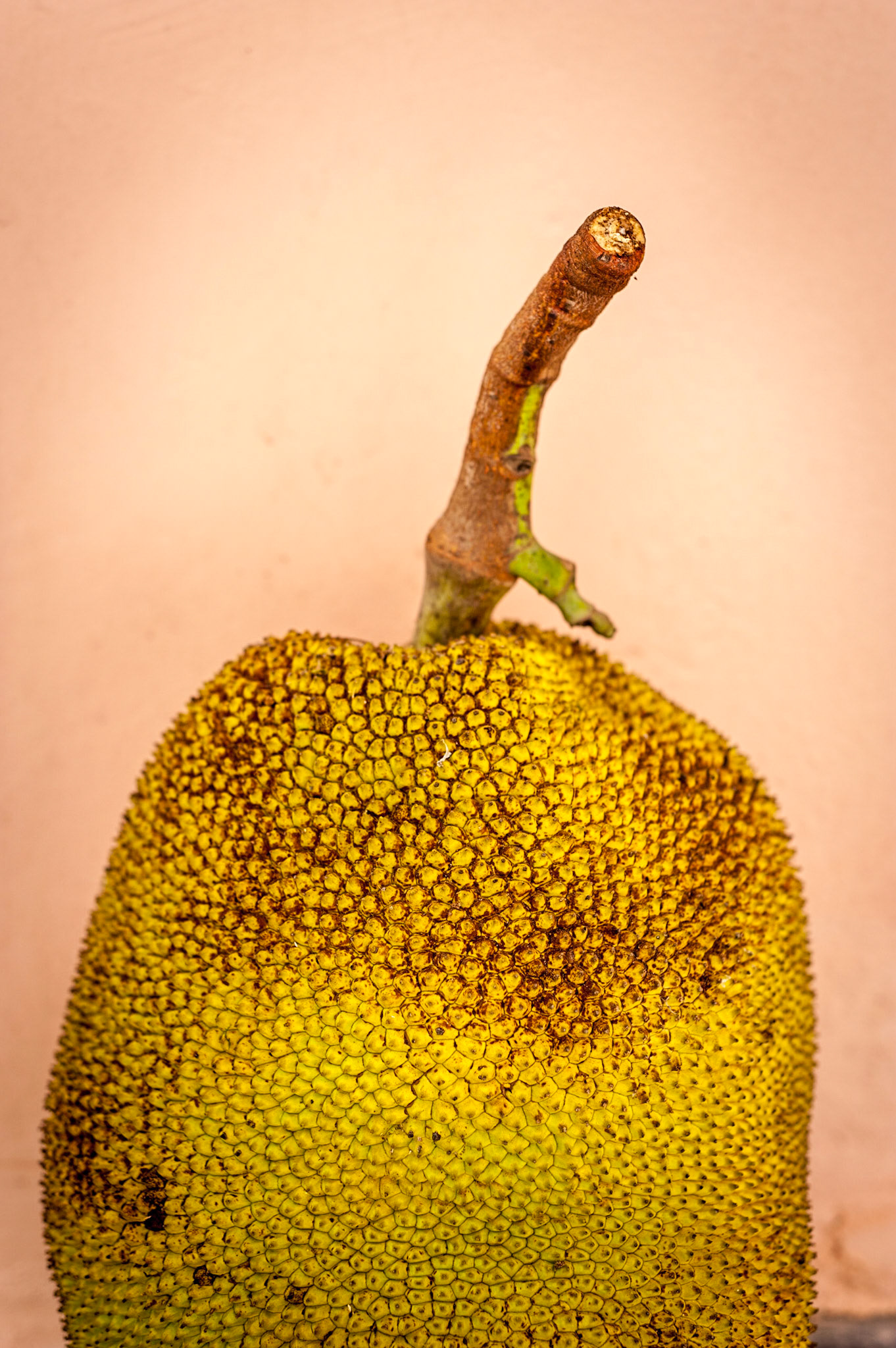 COD:8513_2016 - Teófilo Otoni-MG