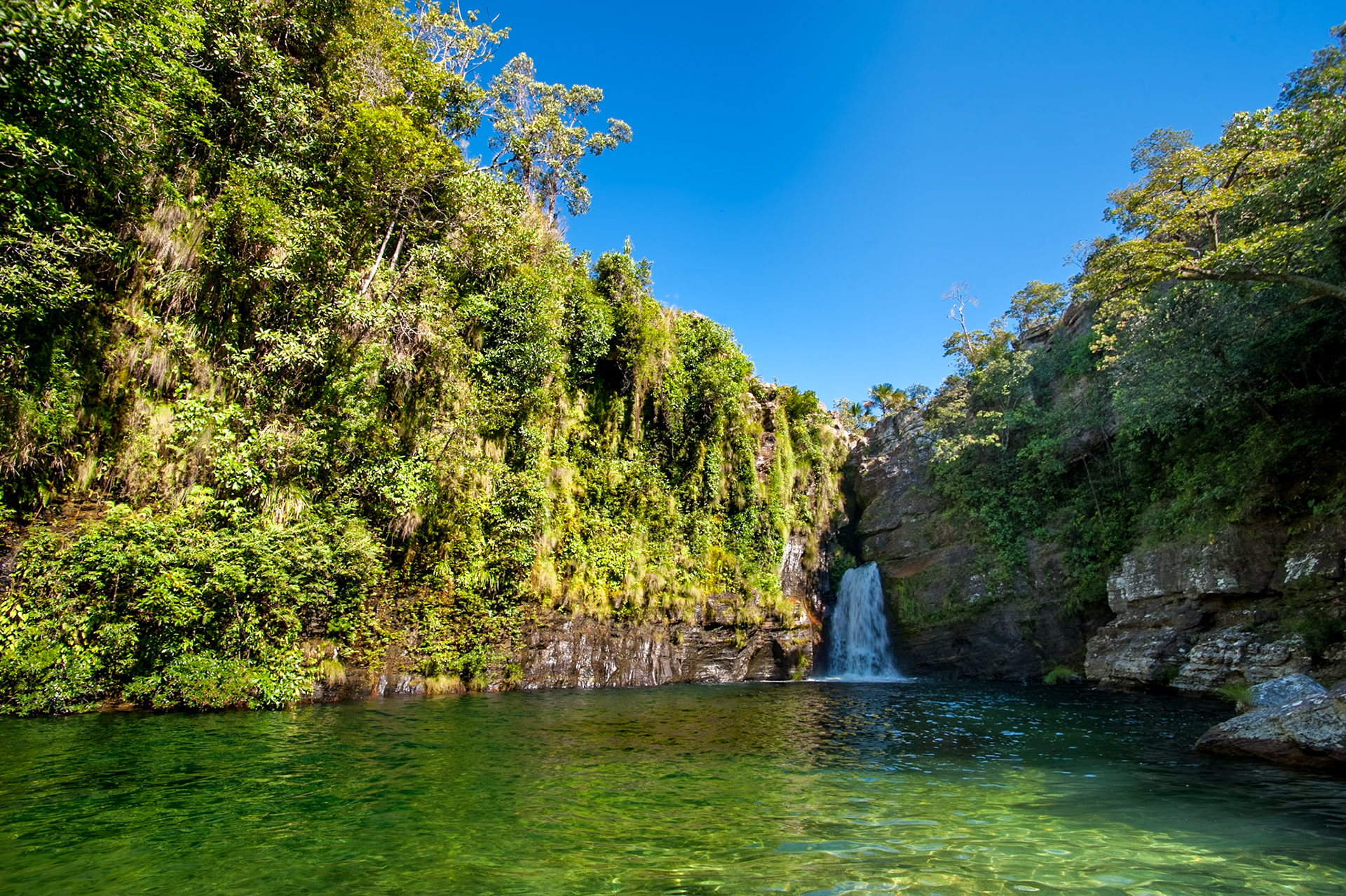 COD:7491_2012 - Rei do Prata - Cavalcante-GO