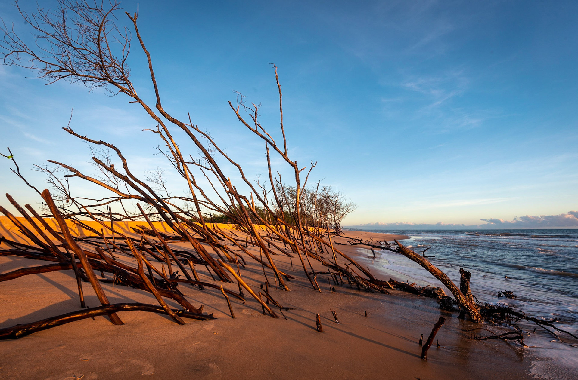 COD:1177_2020 - Prado-BA