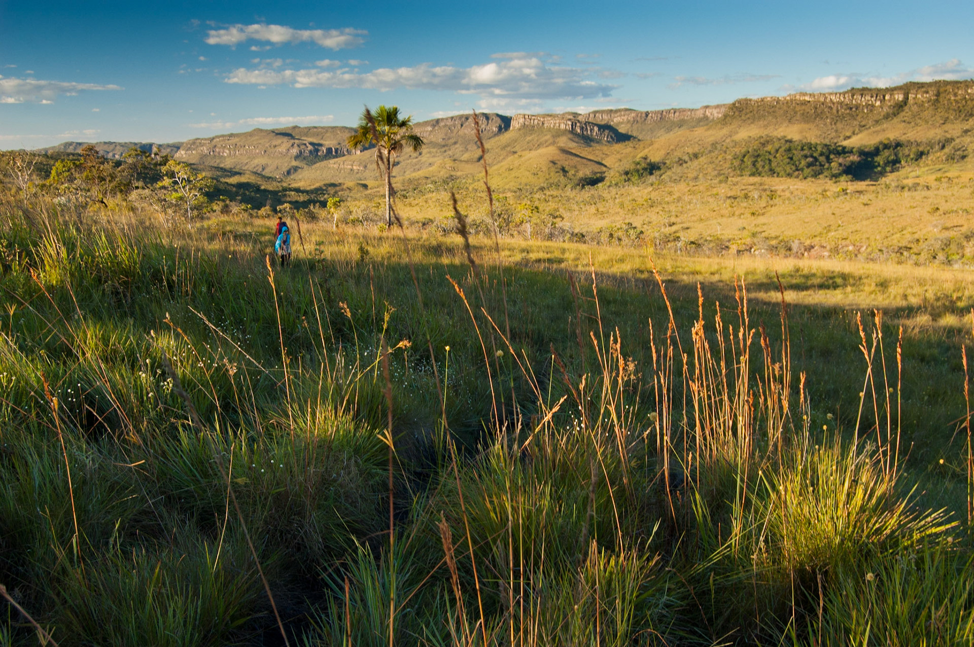 COD:4930_2009 - Rei do Prata - Cavalcante-GO