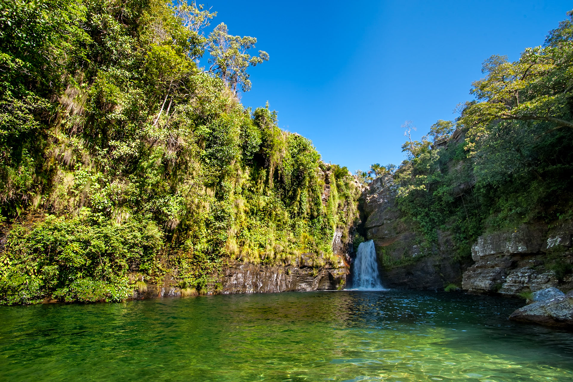 COD:7491_2012 - Rei do Prata - Cavalcante-GO