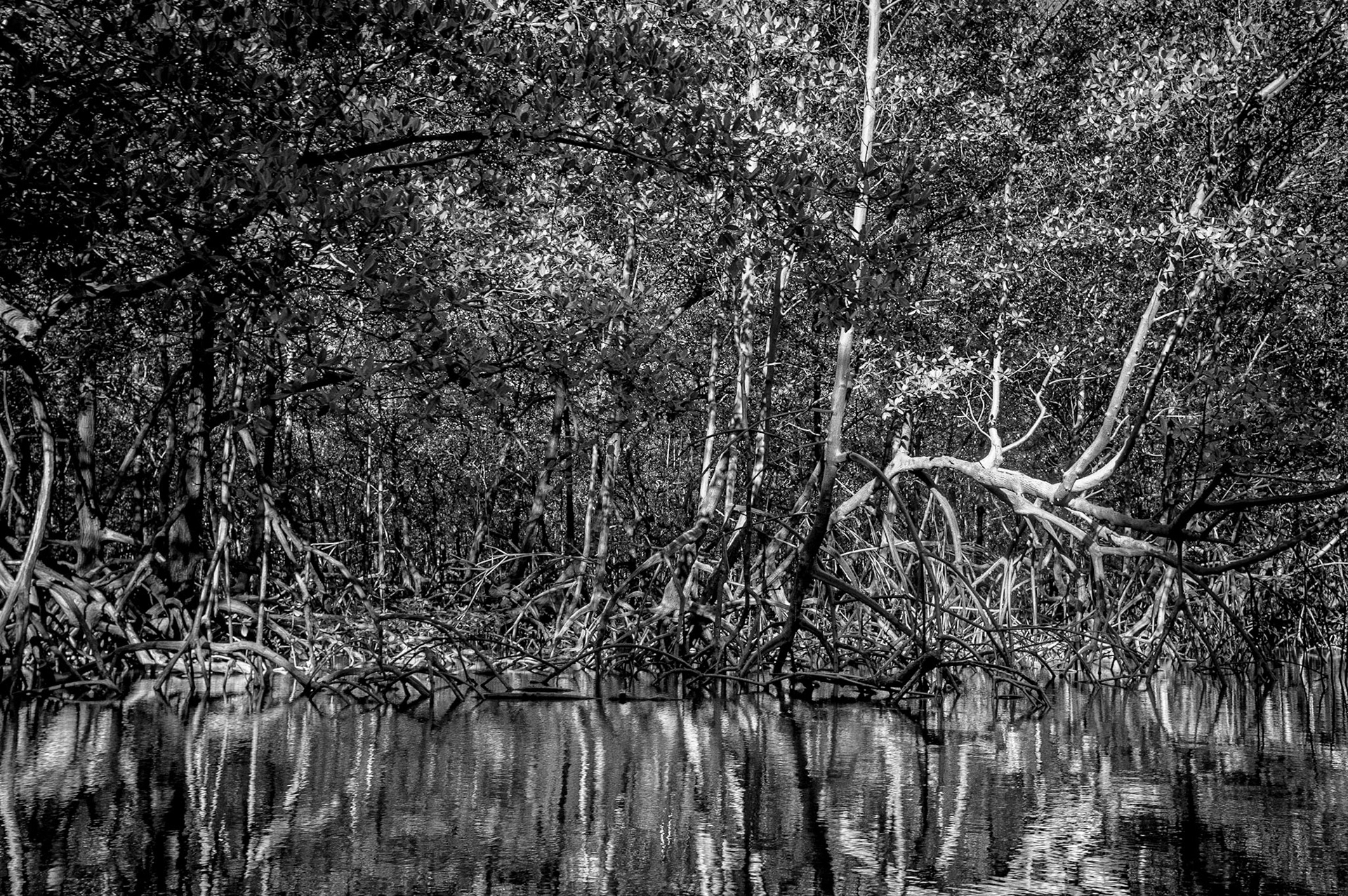 COD:6587_2012 - Mangue - Belmonte-BA