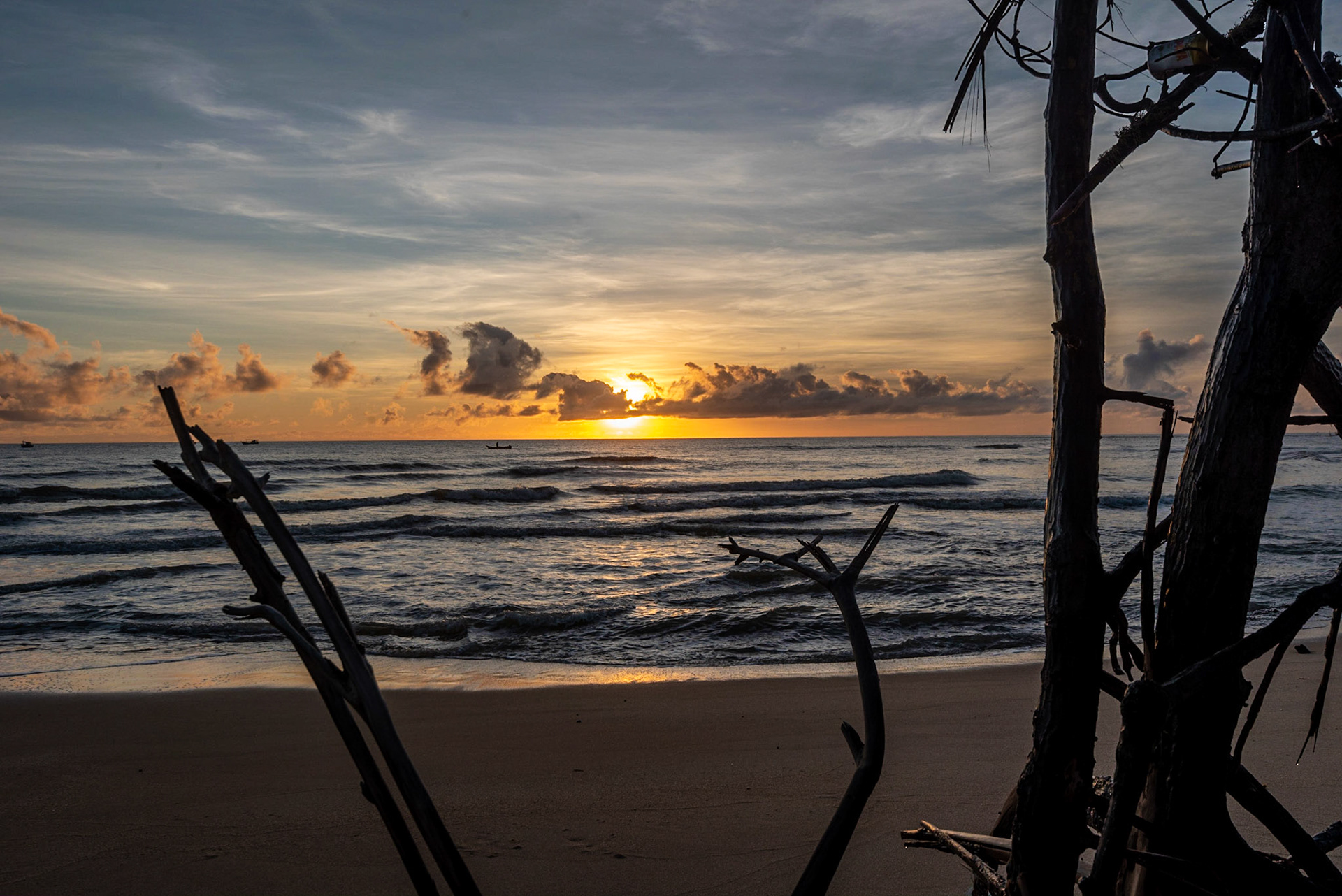 COD:1172_2020 - Prado-BA