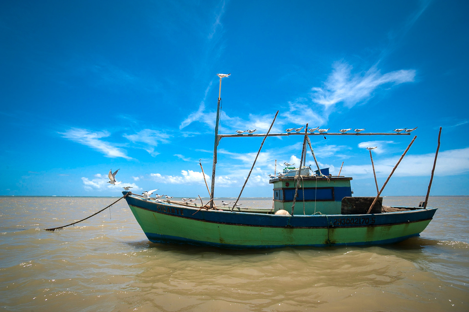 COD:6718_2013 - Aves - Guaiu-BA