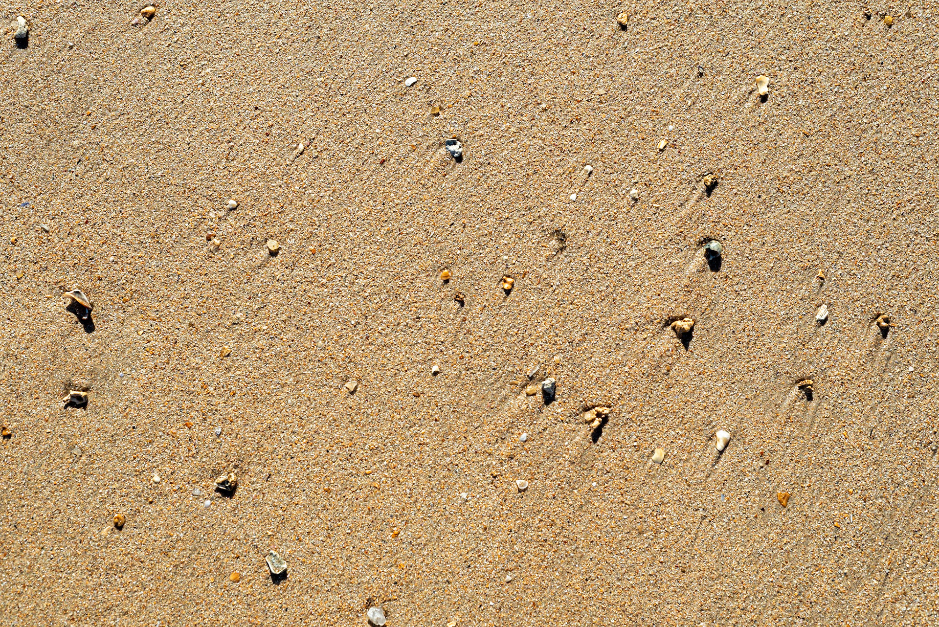 COD:1105_2020 - Prado-BA