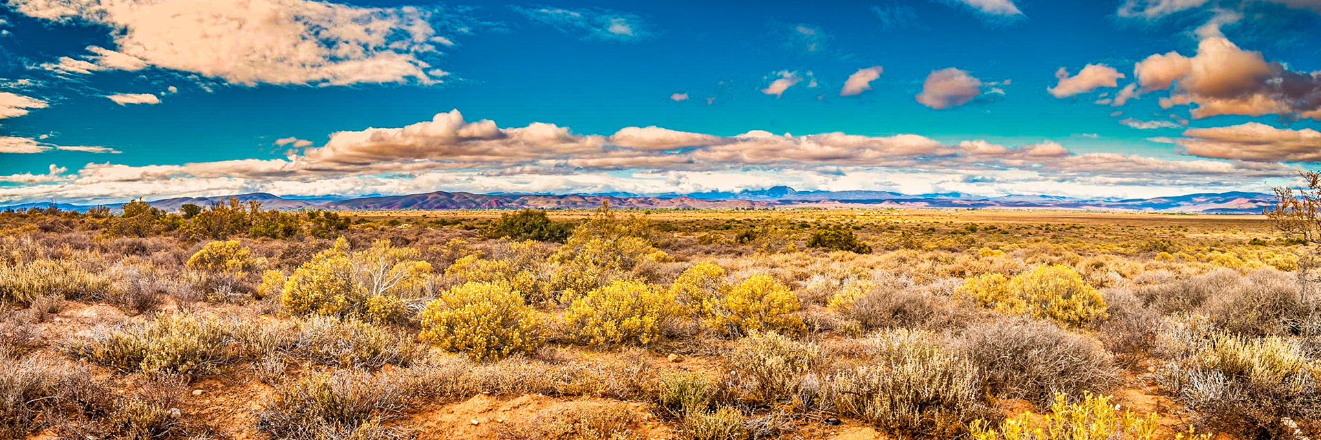 COD:3627_2017 - Oudtshoorn - África do Sul