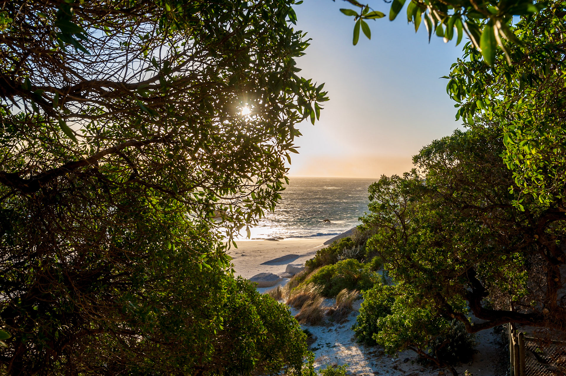 COD:4019_2017 - Cidade do Cabo-África do Sul