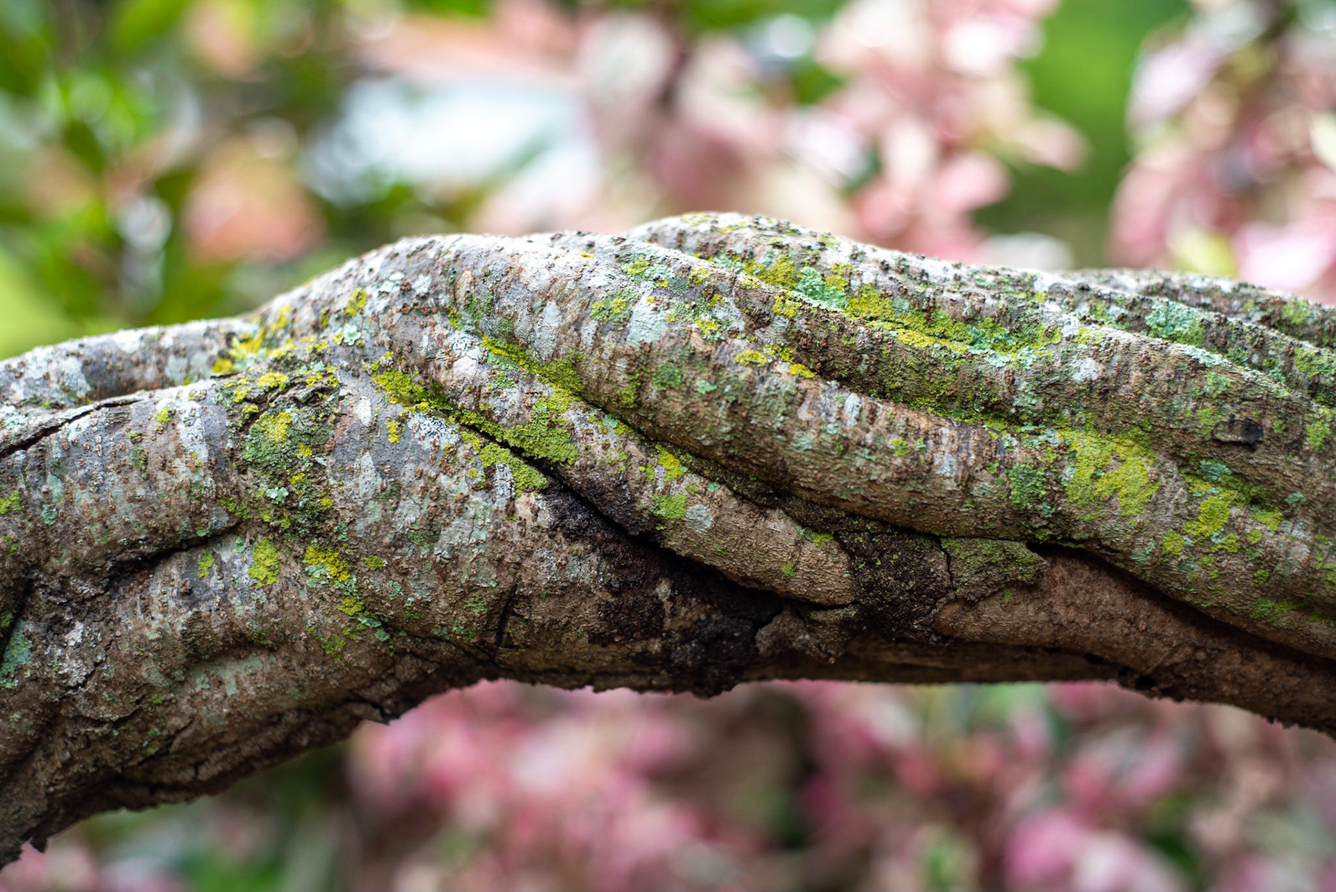 COD:0833_2020 - Teófilo Otoni-MG