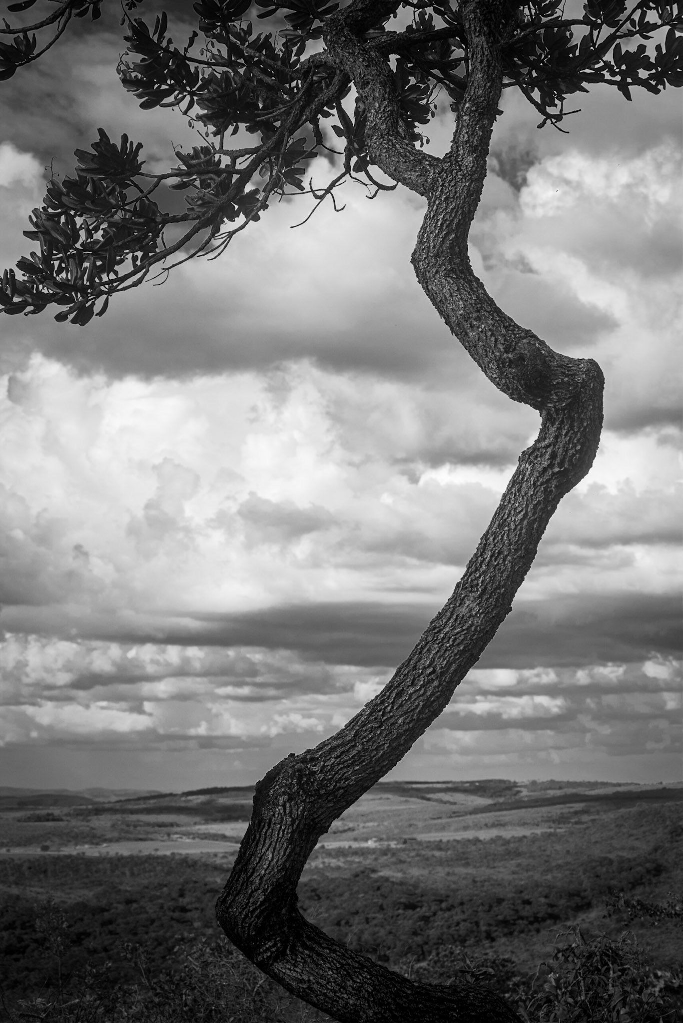 Parque dos Pireneus - Pirenopolis-GO - COD:2018_7682