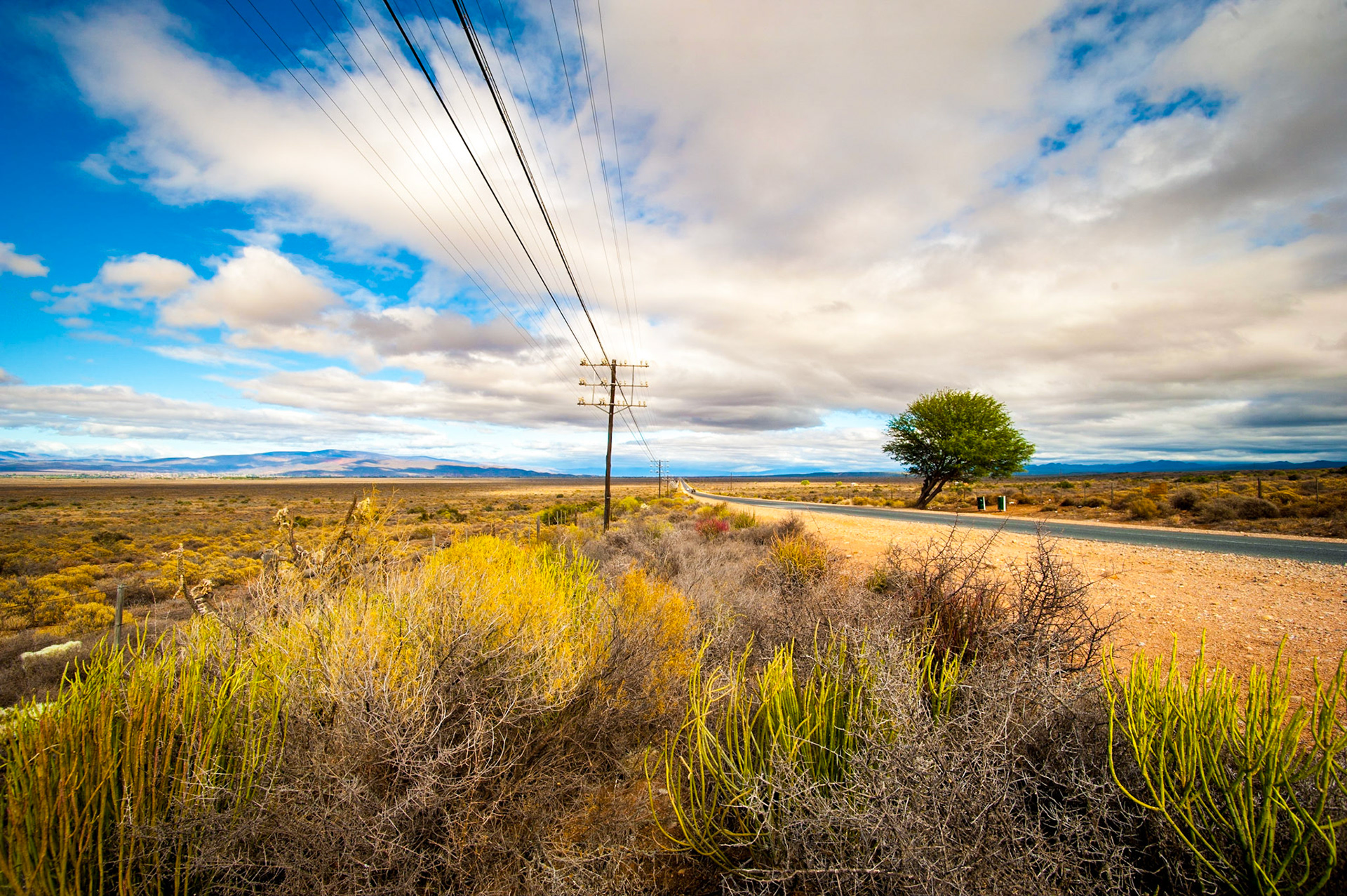 COD:3625_2017 - Oudtshoorn - África do Sul