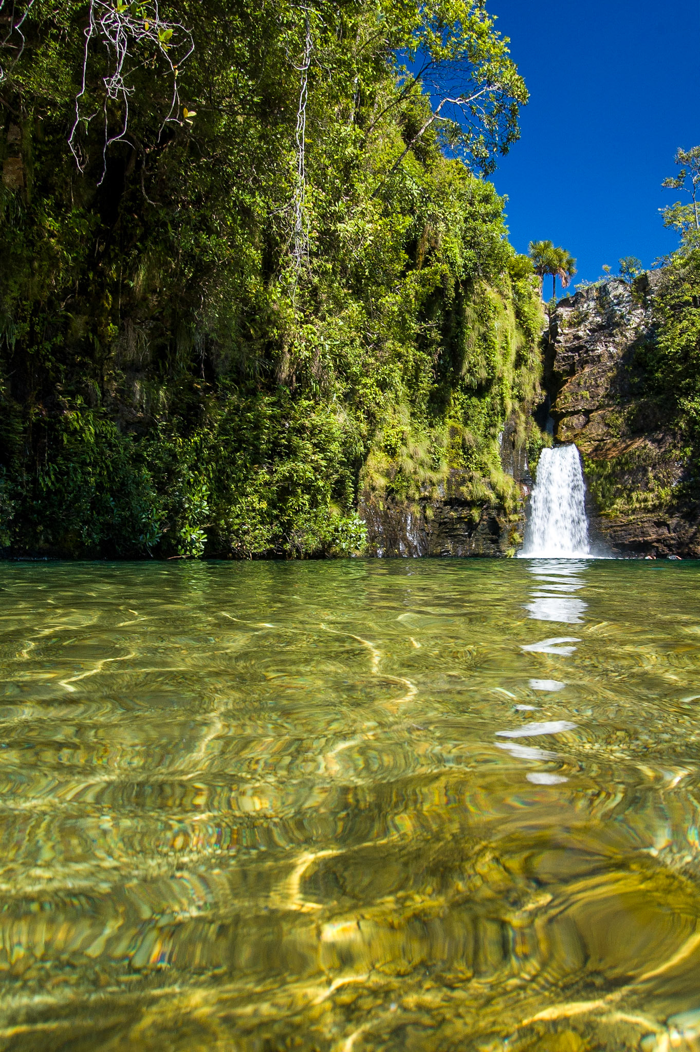 COD:0142_2007 - Rei do Prata - Cavalcante-GO