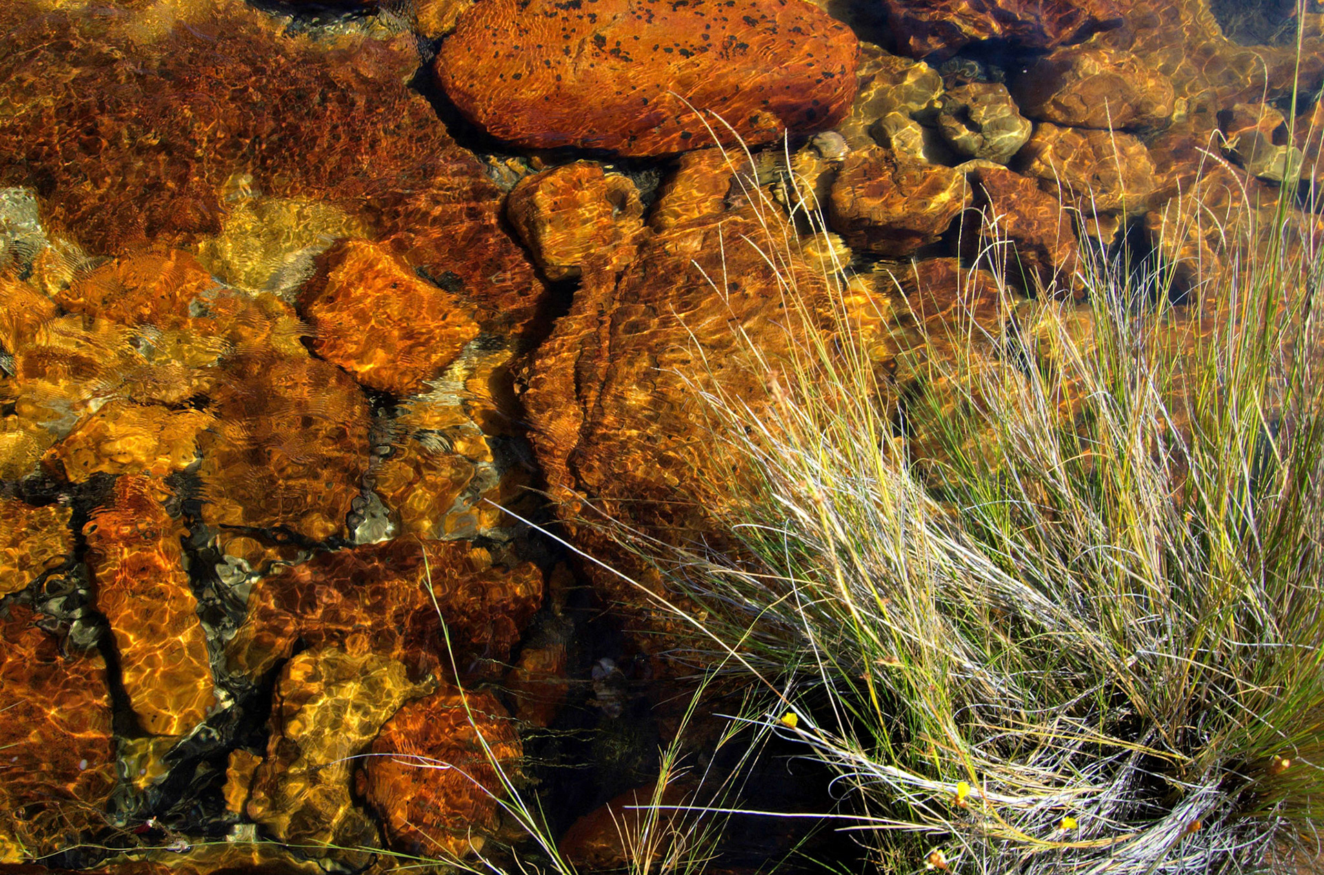 COD:0659_2007 - Rei do Prata - Cavalcante-GO