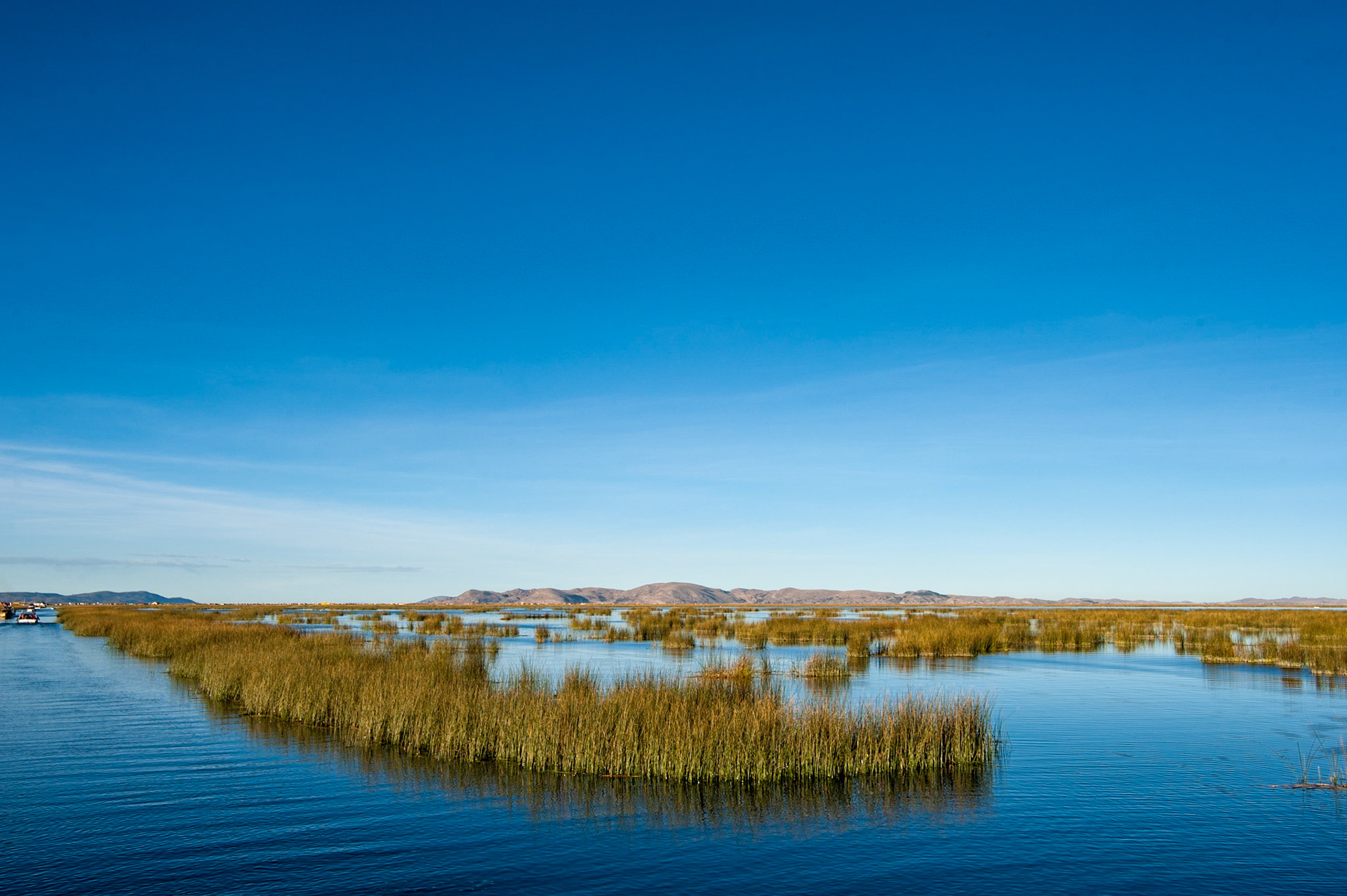 COD:1414_2012 - Puno - Lago Titicaca - Peru