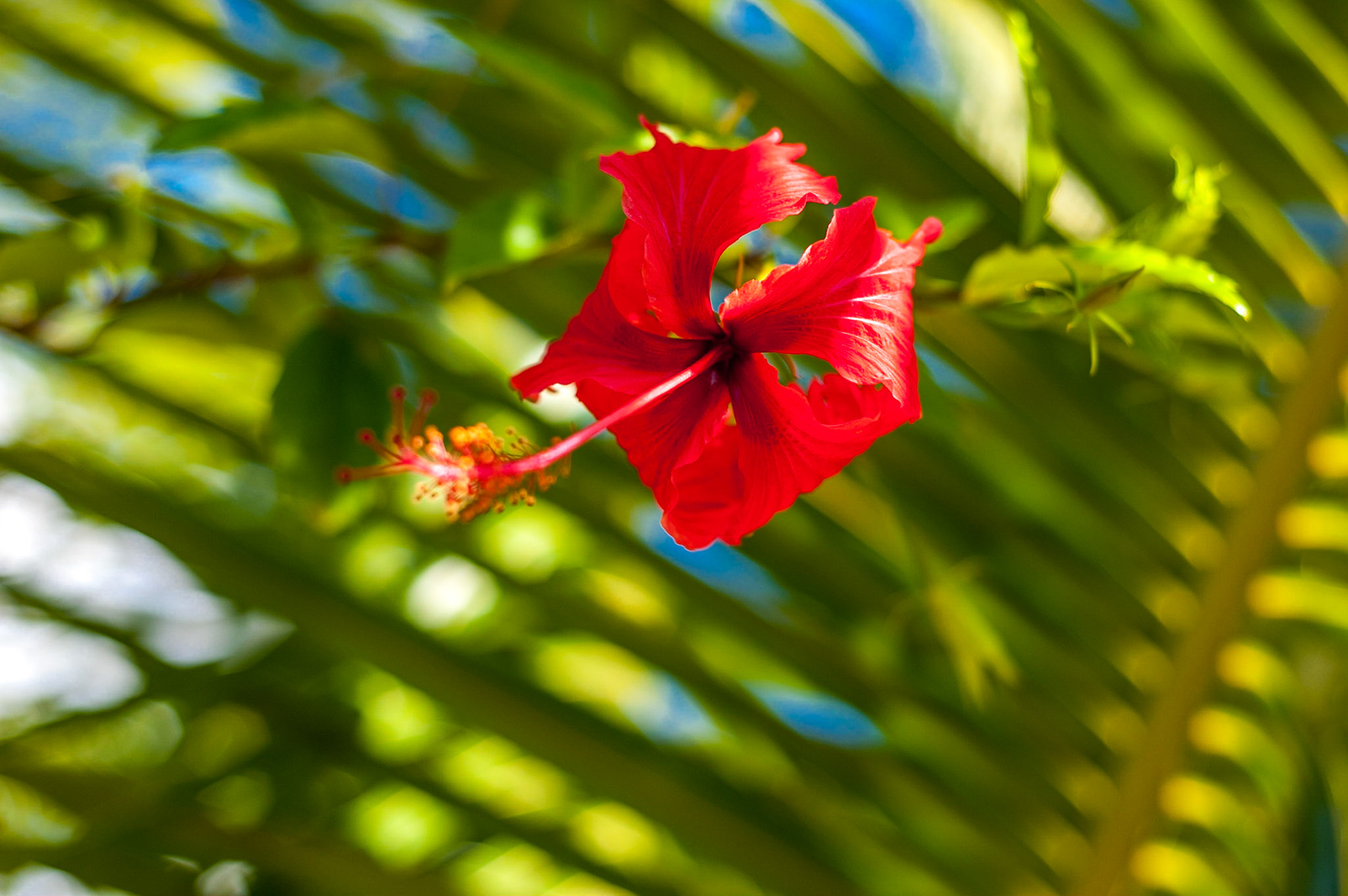 COD:1437_2011 - Prado-BA