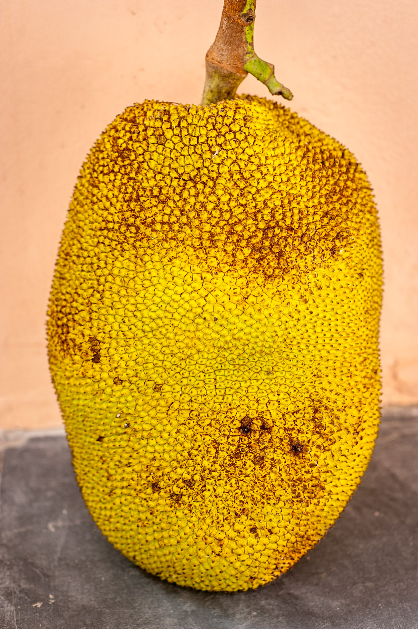 COD:8514_2016 - Teófilo Otoni-MG