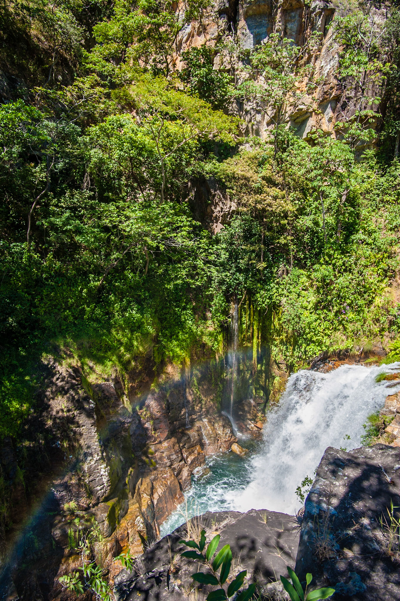 COD:7341_2012 - Rei do Prata - Cavalcante-GO