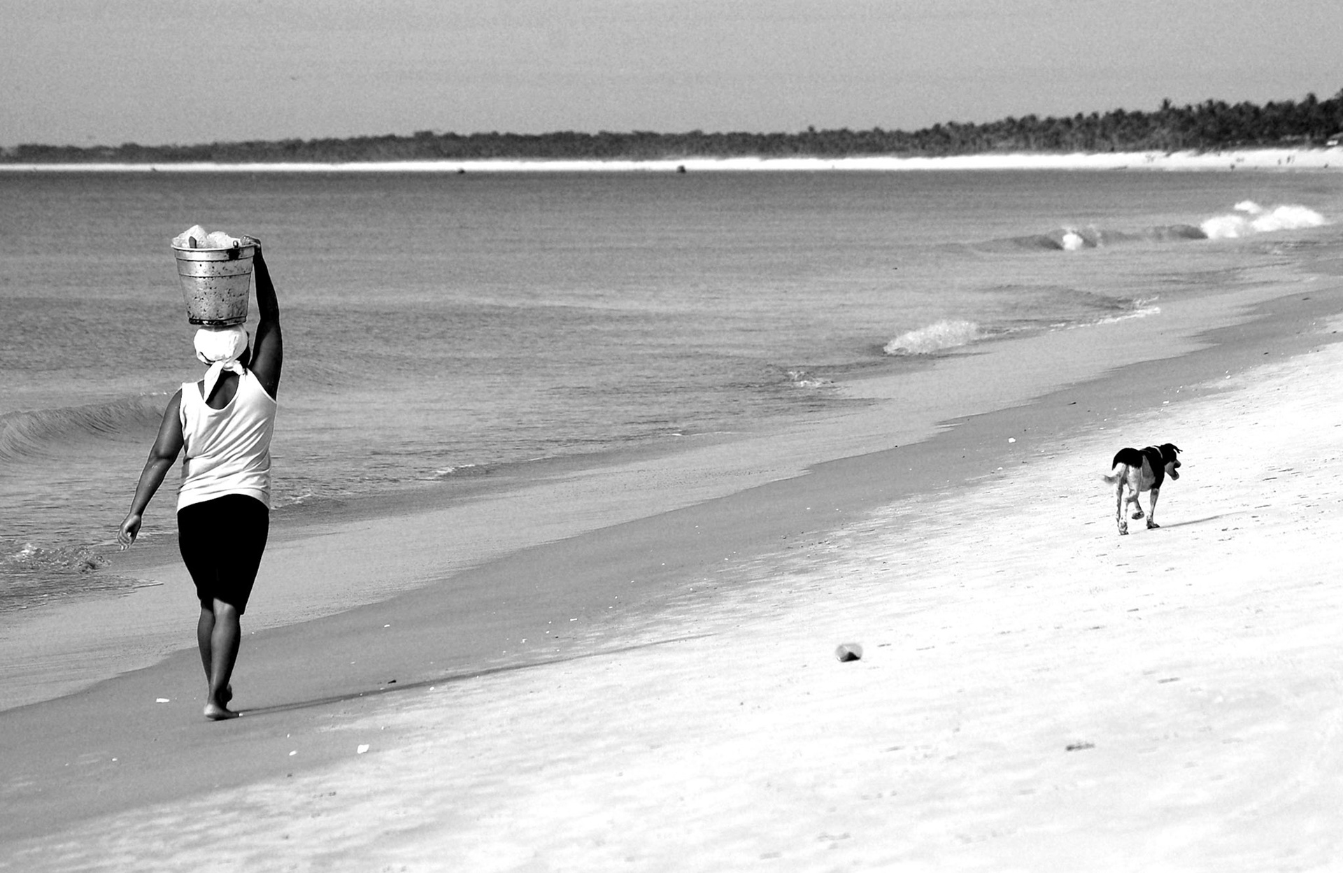 COD:0509_2007 - Trabalhadora e companhia - Nova Vicosa-BA