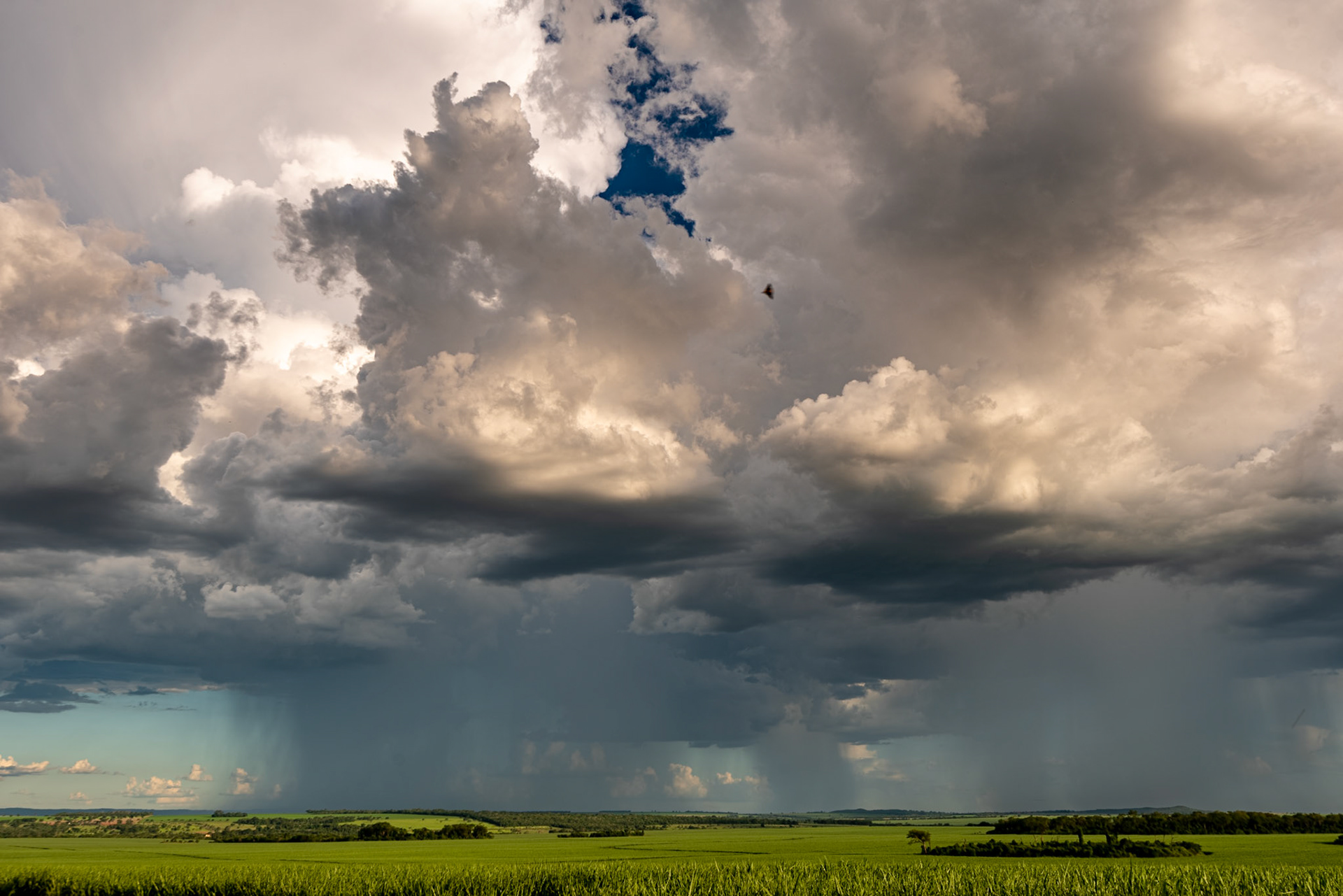 COD:0759_2019 - BR-060 - Goiás