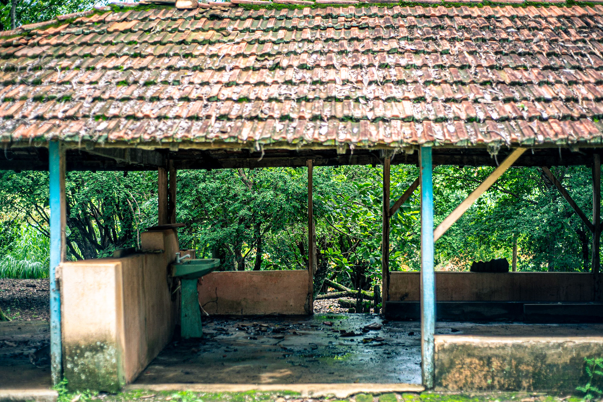 COD:0114_2019 - Ap. de Goiânia-GO