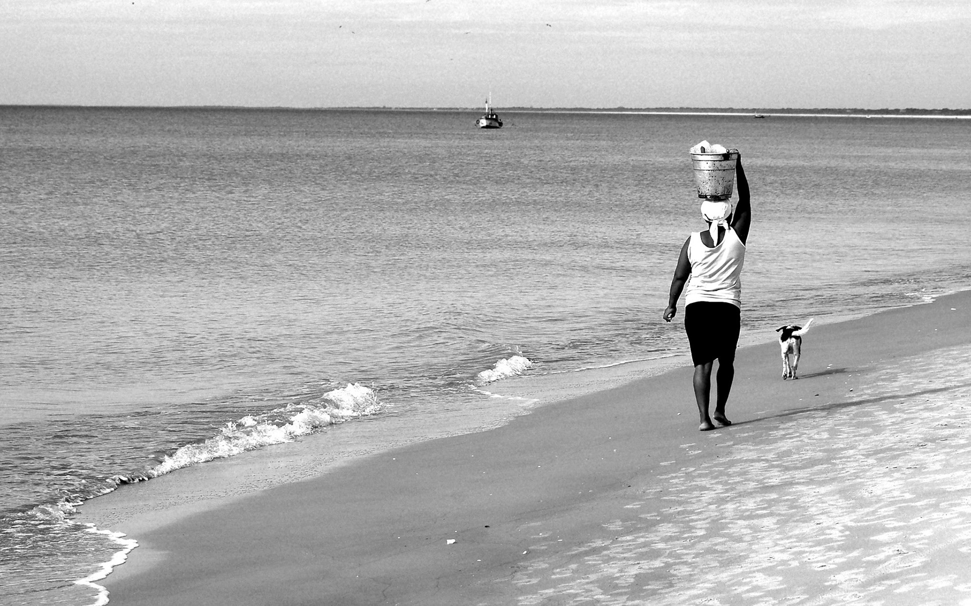 COD:0508_2007 - Trabalhadora e companhia - Nova Vicosa-BA