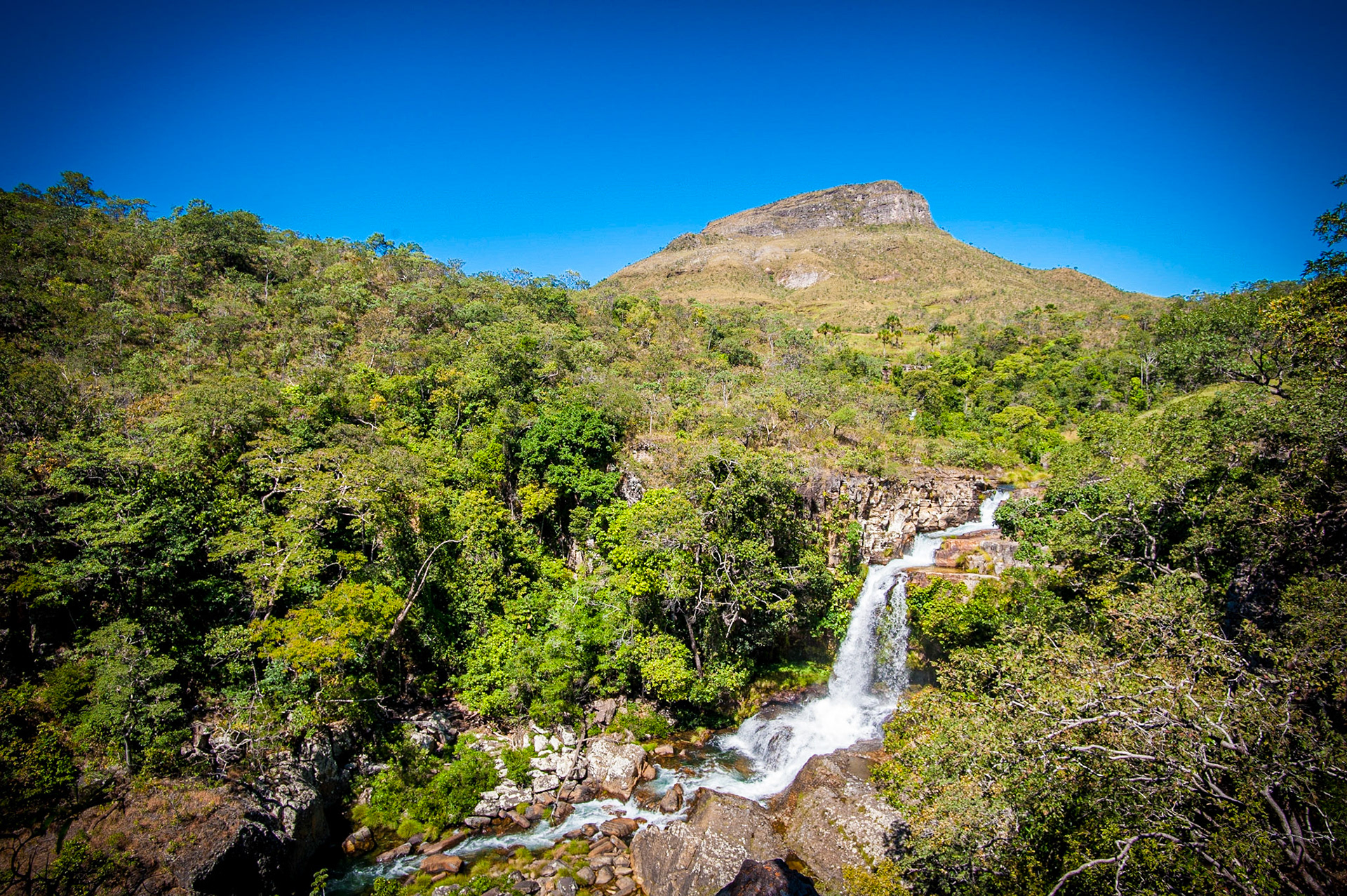 COD:7327_2012 - Rei do Prata - Cavalcante-GO