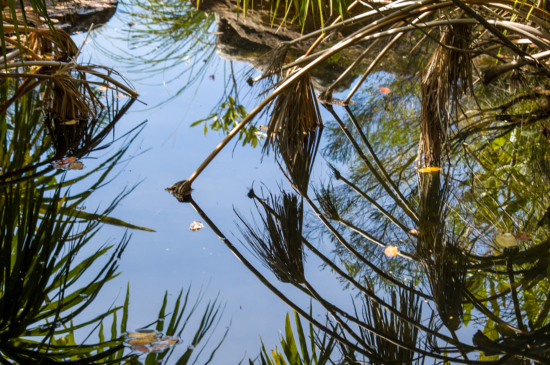 COD:0617_2007 - Rei do Prata - Cavalcante-GO