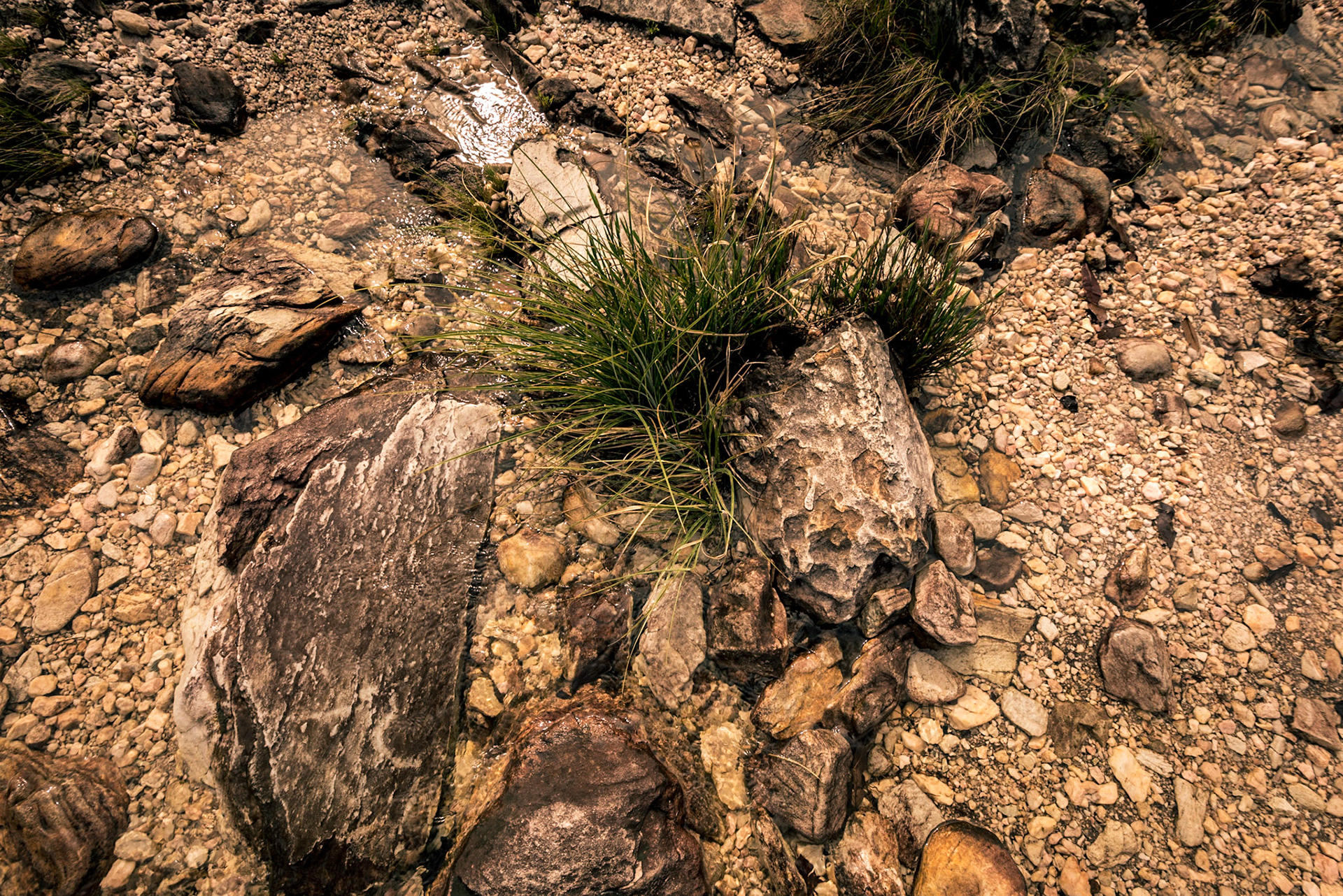 COD:8337_2018 - Parque Nacional da Chadada dos Veadeiros - Alto Paraíso-GO