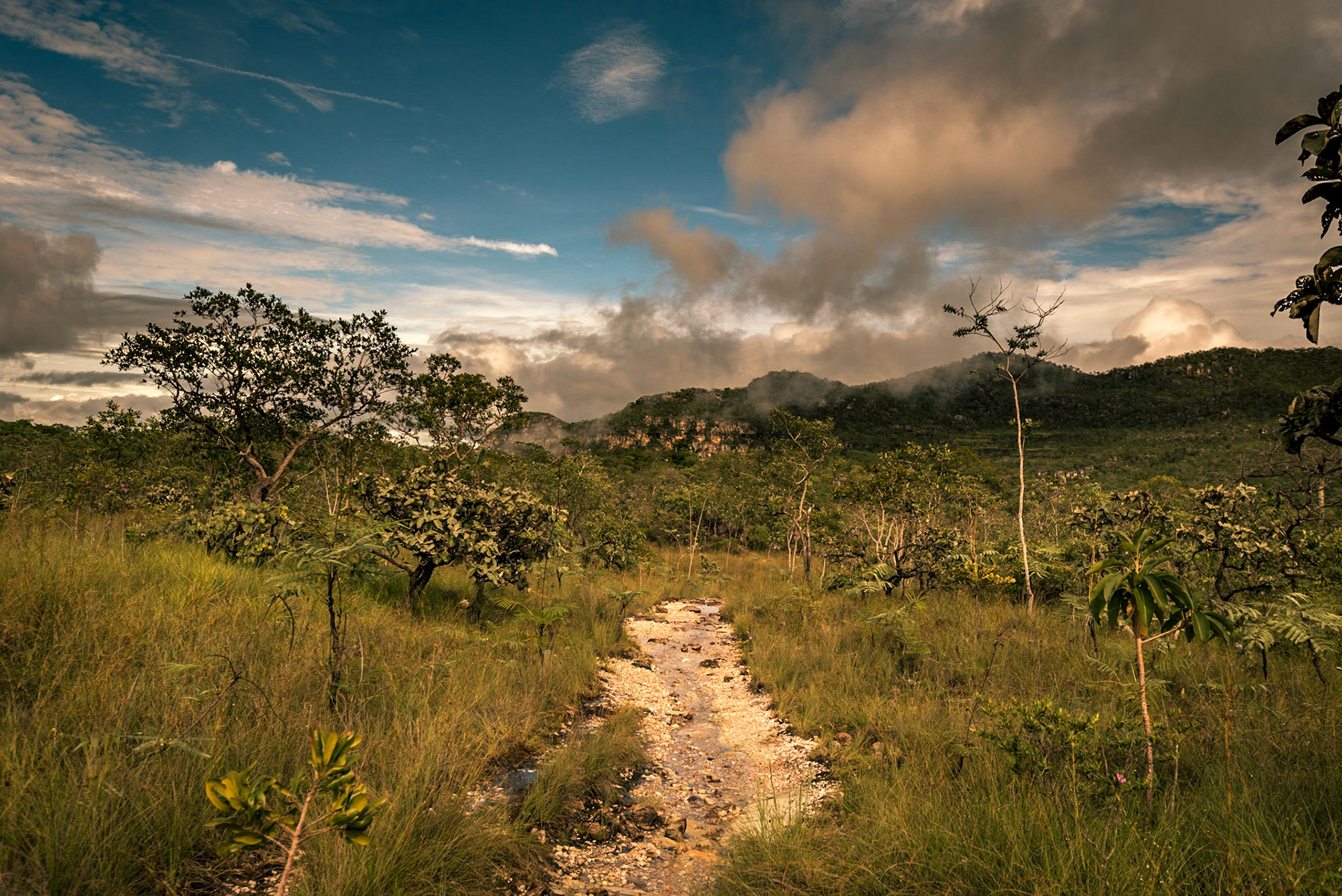 COD:8344_2018 - Parque Nacional da Chadada dos Veadeiros - Alto Paraíso-GO