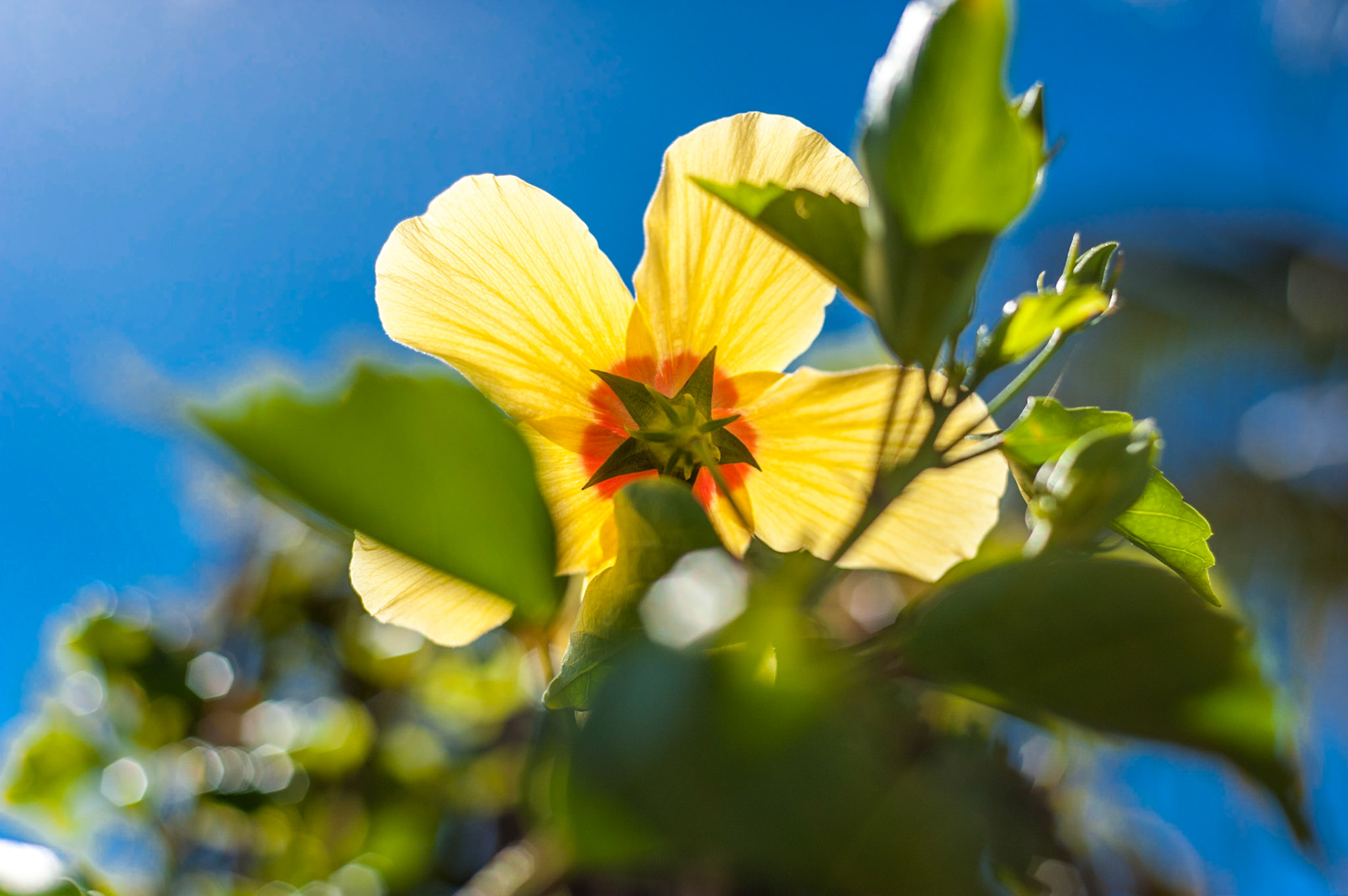 COD:1426_2011 - Prado-BA