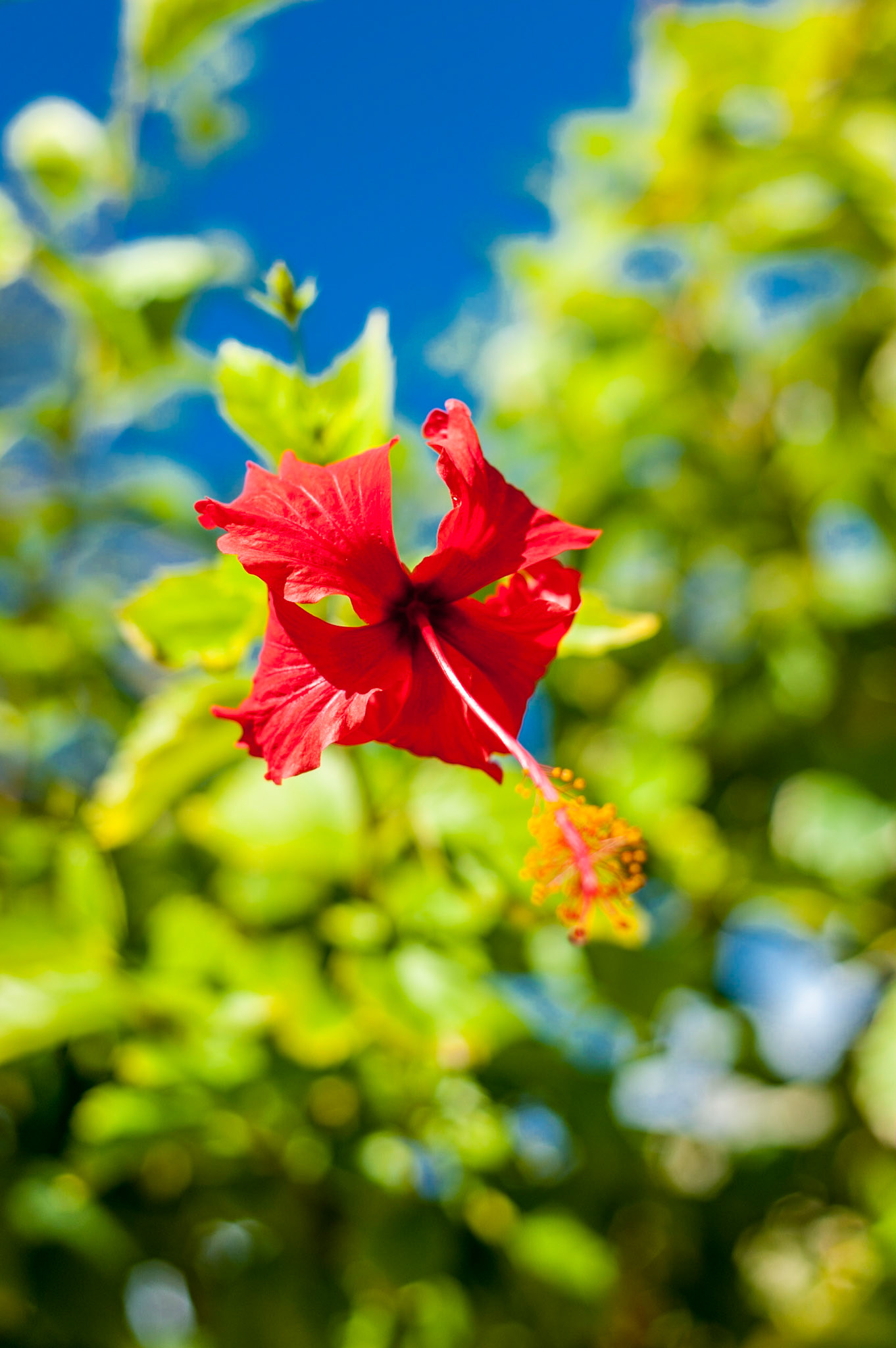 COD:1435_2011 - Prado-BA