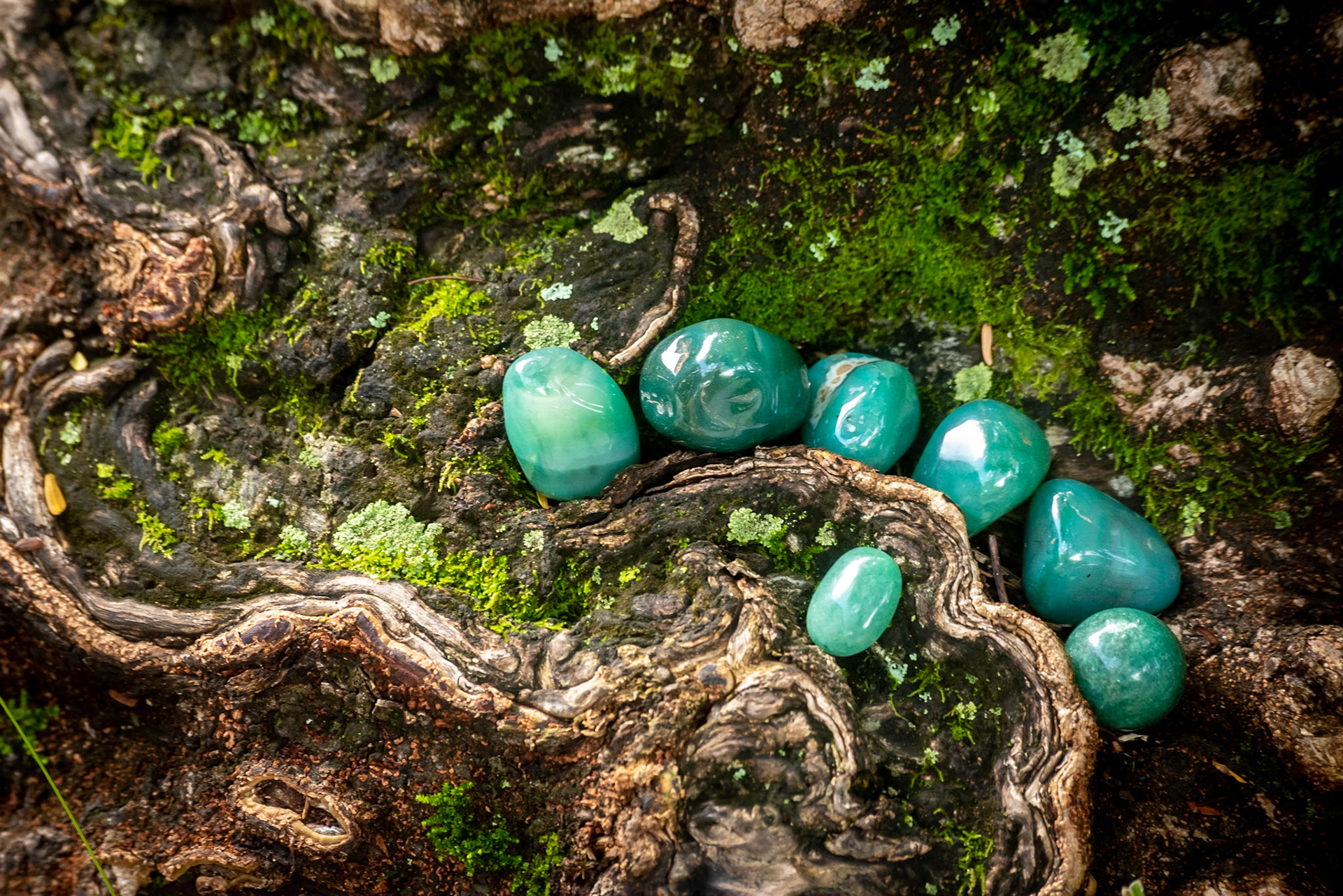 COD:8531_2019 - Goiânia-GO