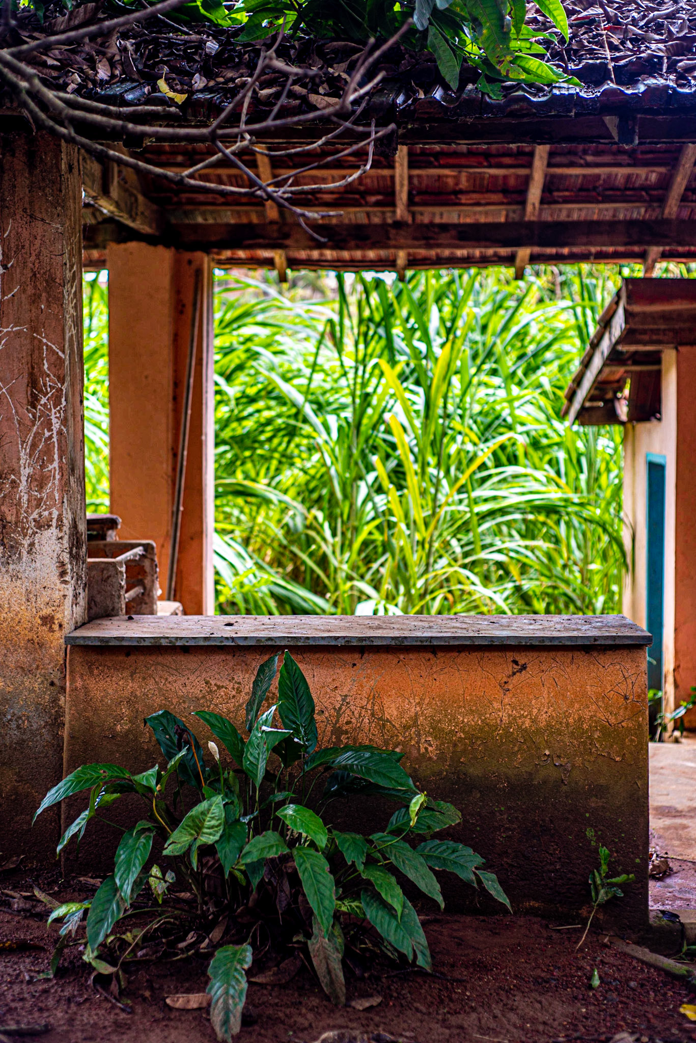 COD:0078_2019 - Ap. de Goiânia-GO