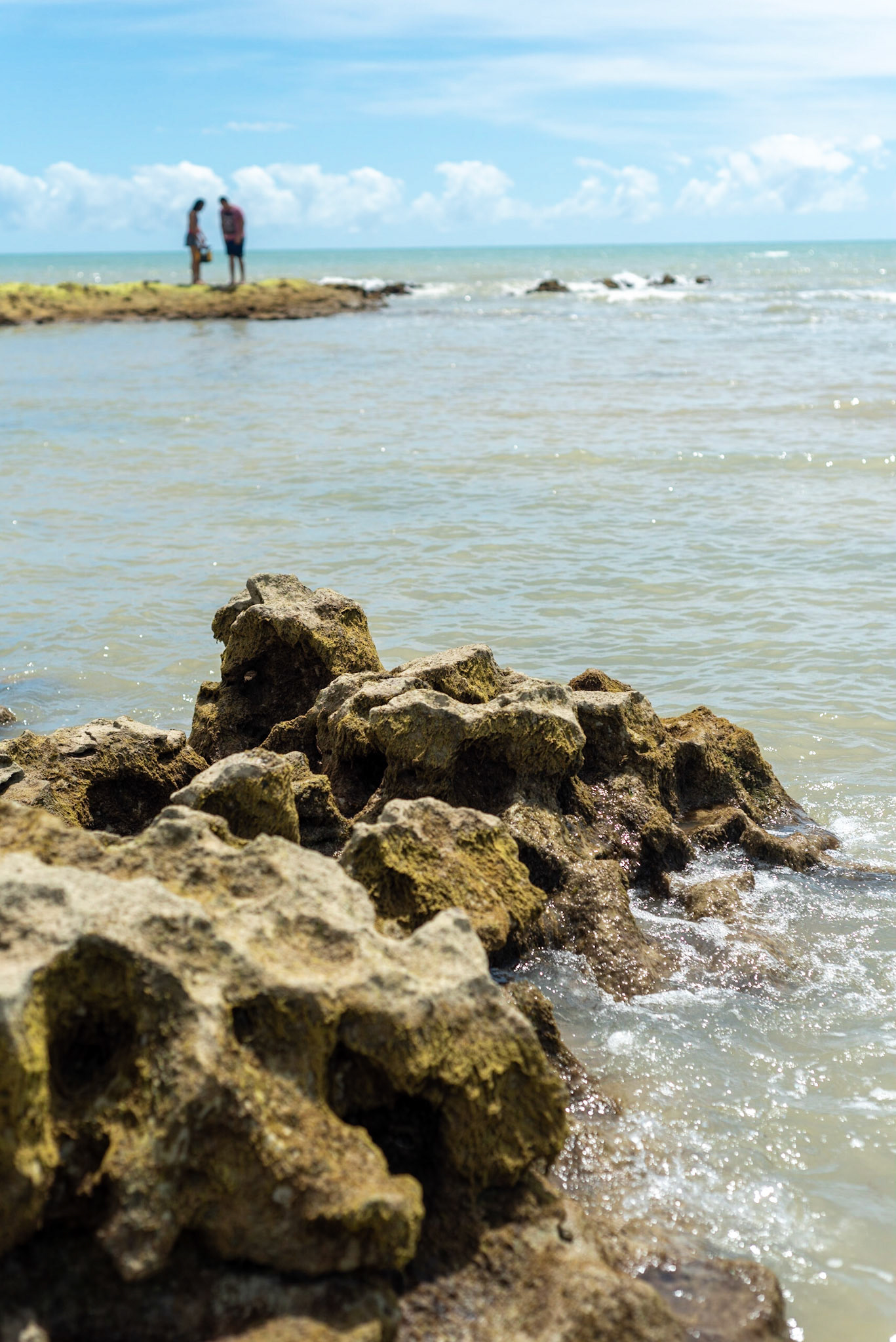 COD:1221_2020 - Prado-BA