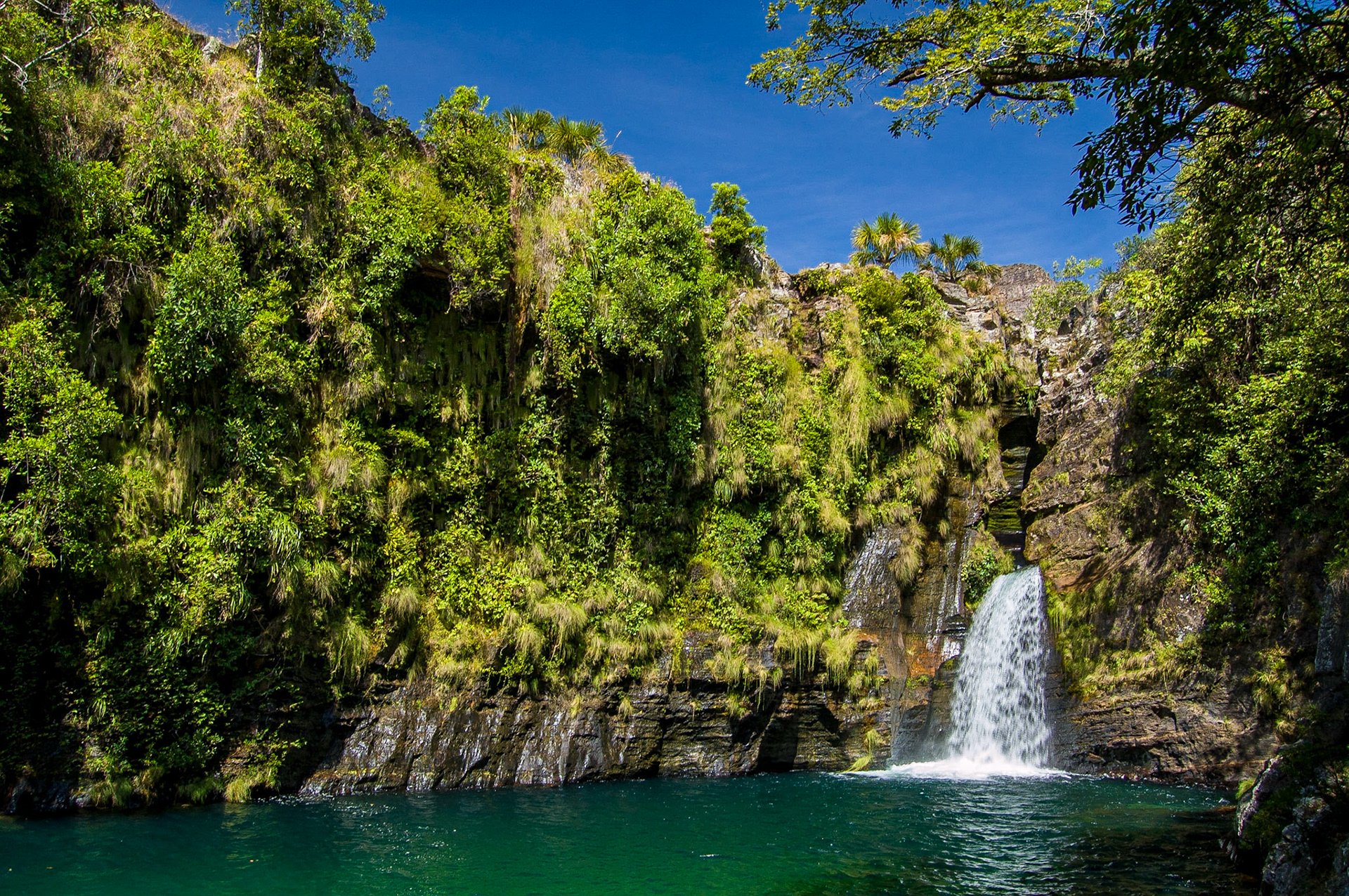 COD:0727_2007 - Rei do Prata - Cavalcante-GO