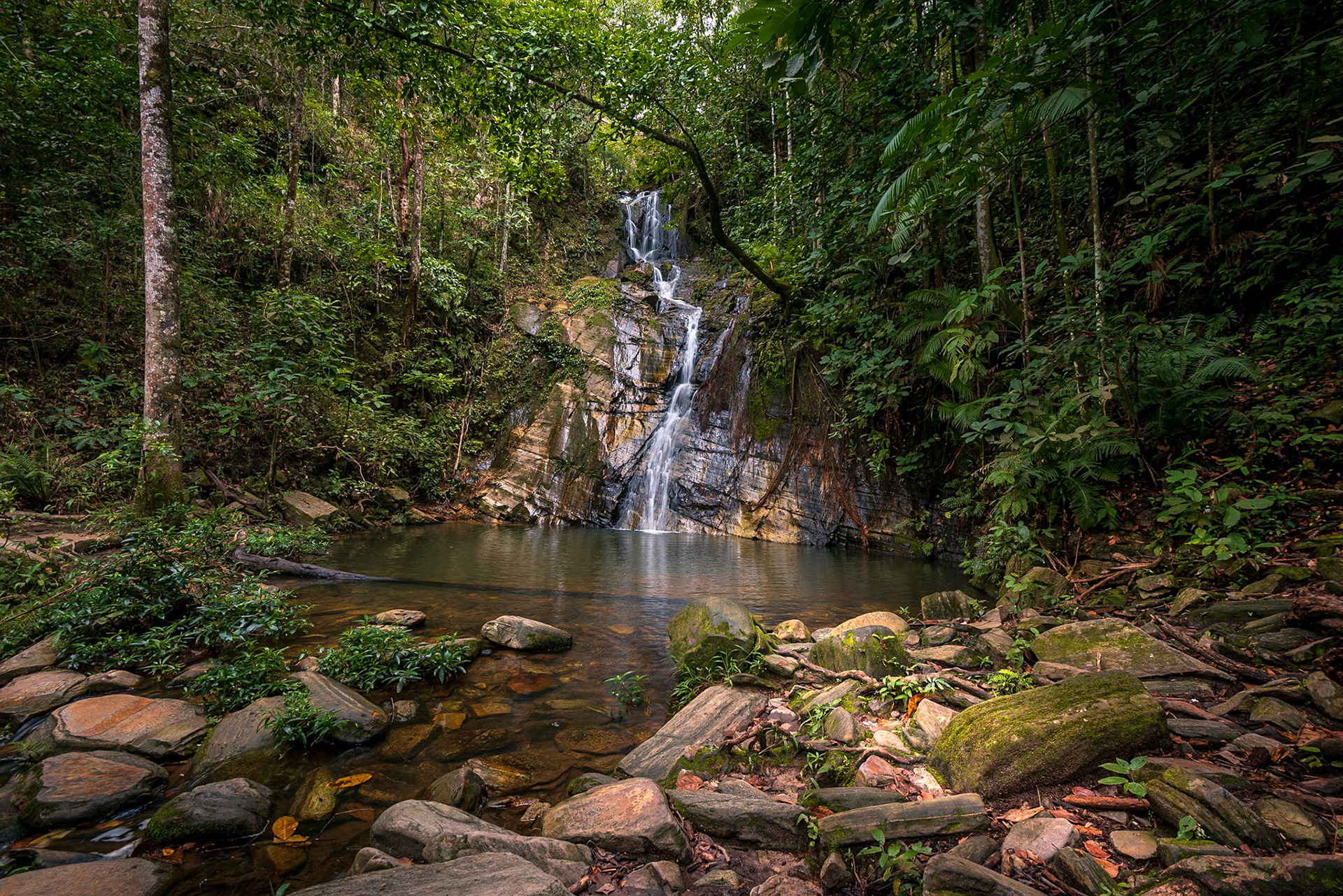 Bonsucesso - Pirenopolis-GO - COD:2018_7433