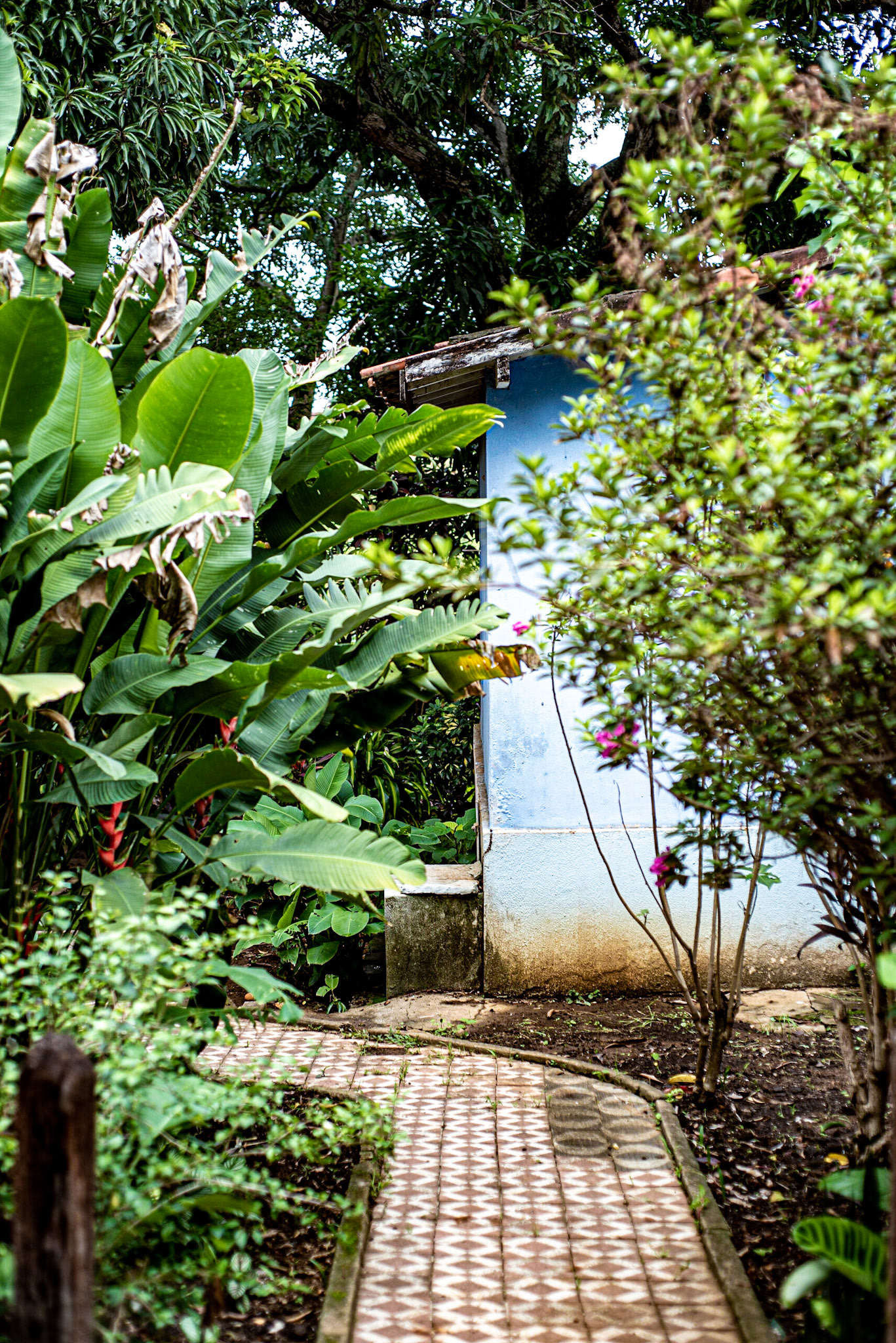 COD:0096_2019 - Ap. de Goiânia-GO